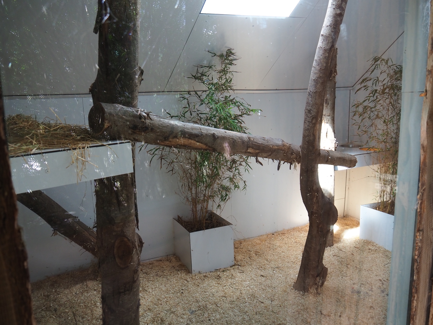 Binturong indoor housing