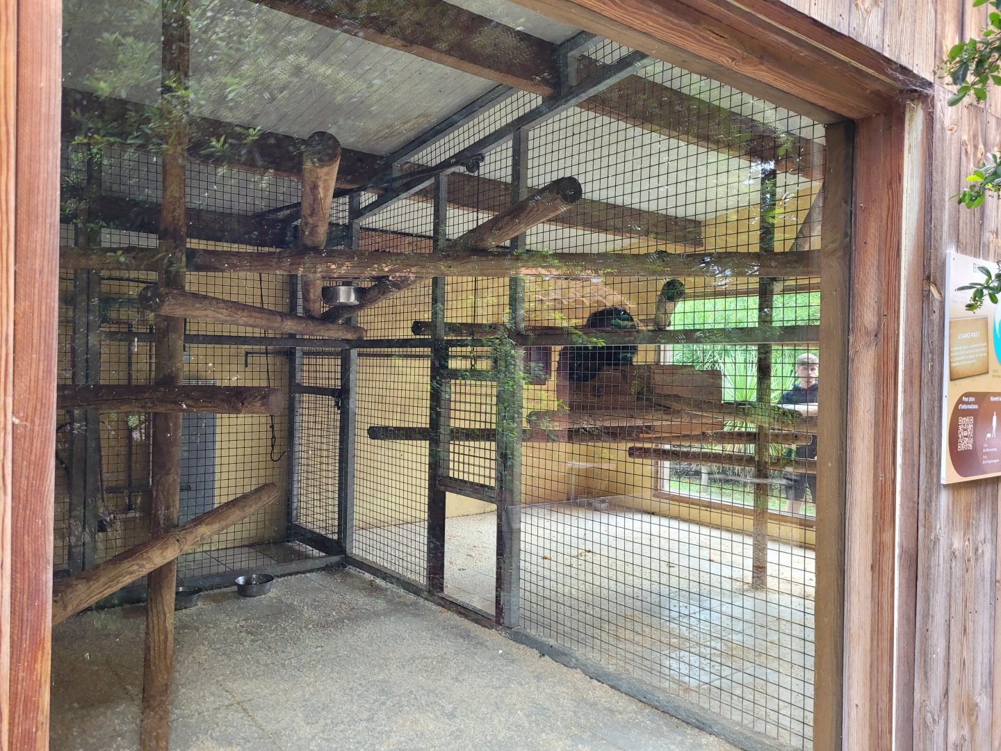 Binturong indoors exhibit -Zoo du bassin d'Arcachon (2024)