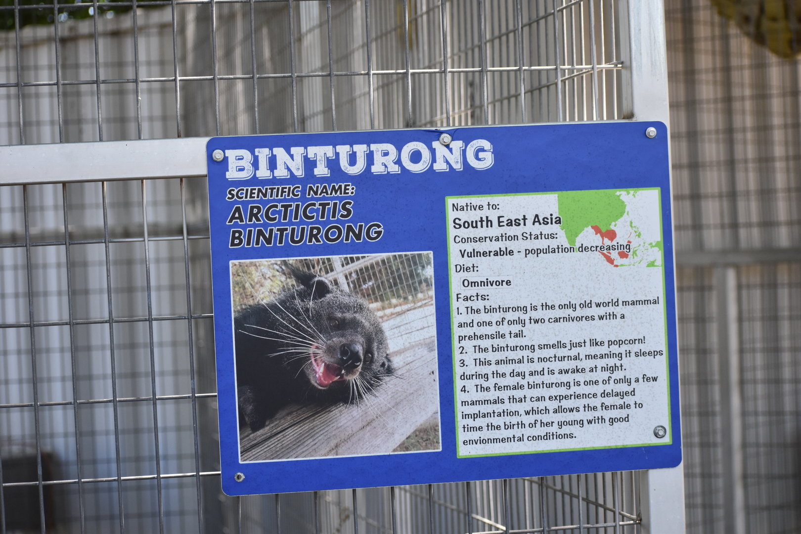 Binturong Information Sign