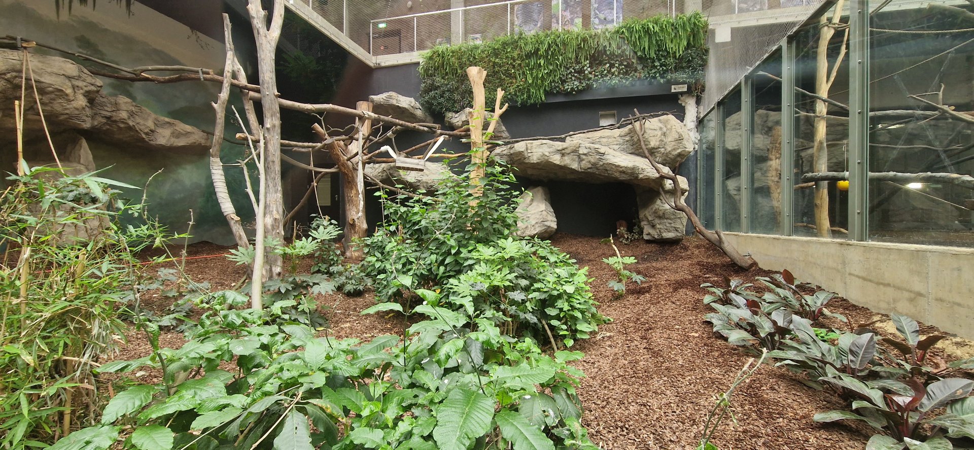 Binturong/Javan Chevrotain exhibit