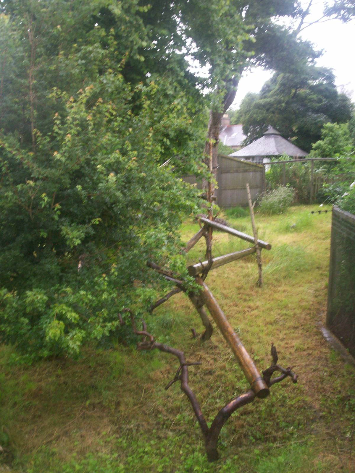 Binturong outdoor enclosure
