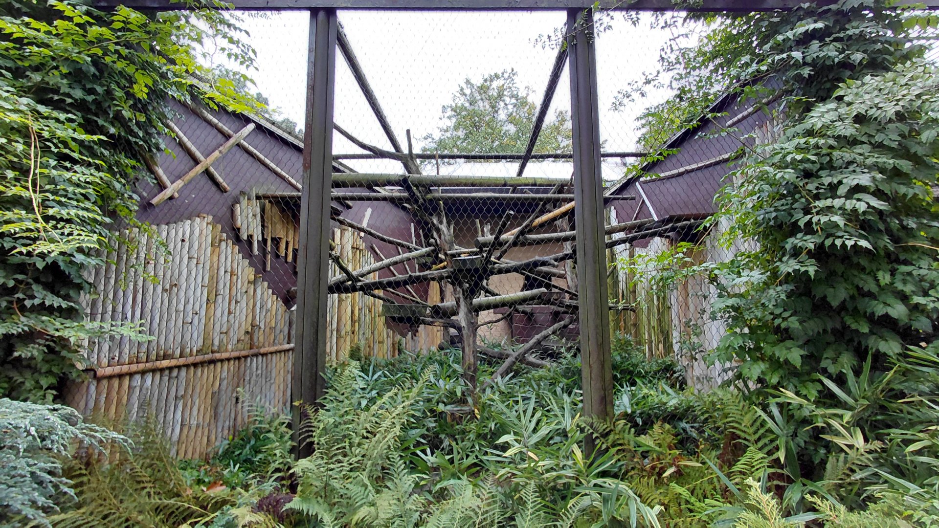 Binturong outdoor exhibit