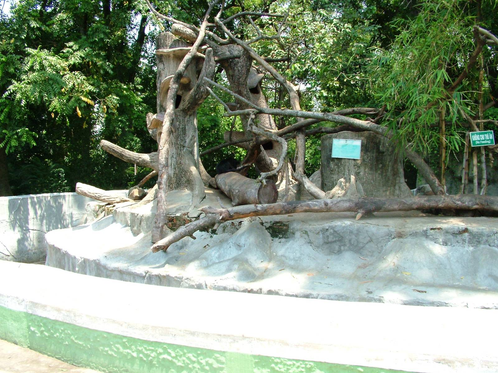 Binturong/Porcupine Exhibit at Saigon Zoo, 16/03/12
