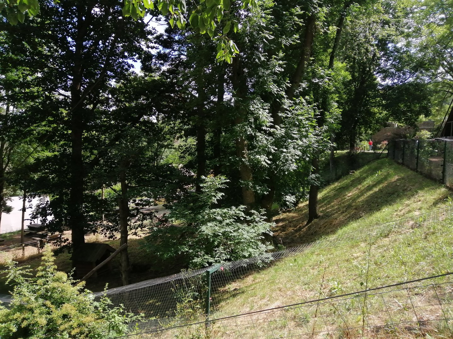 Binturong & Prevost's squirrel exhibit