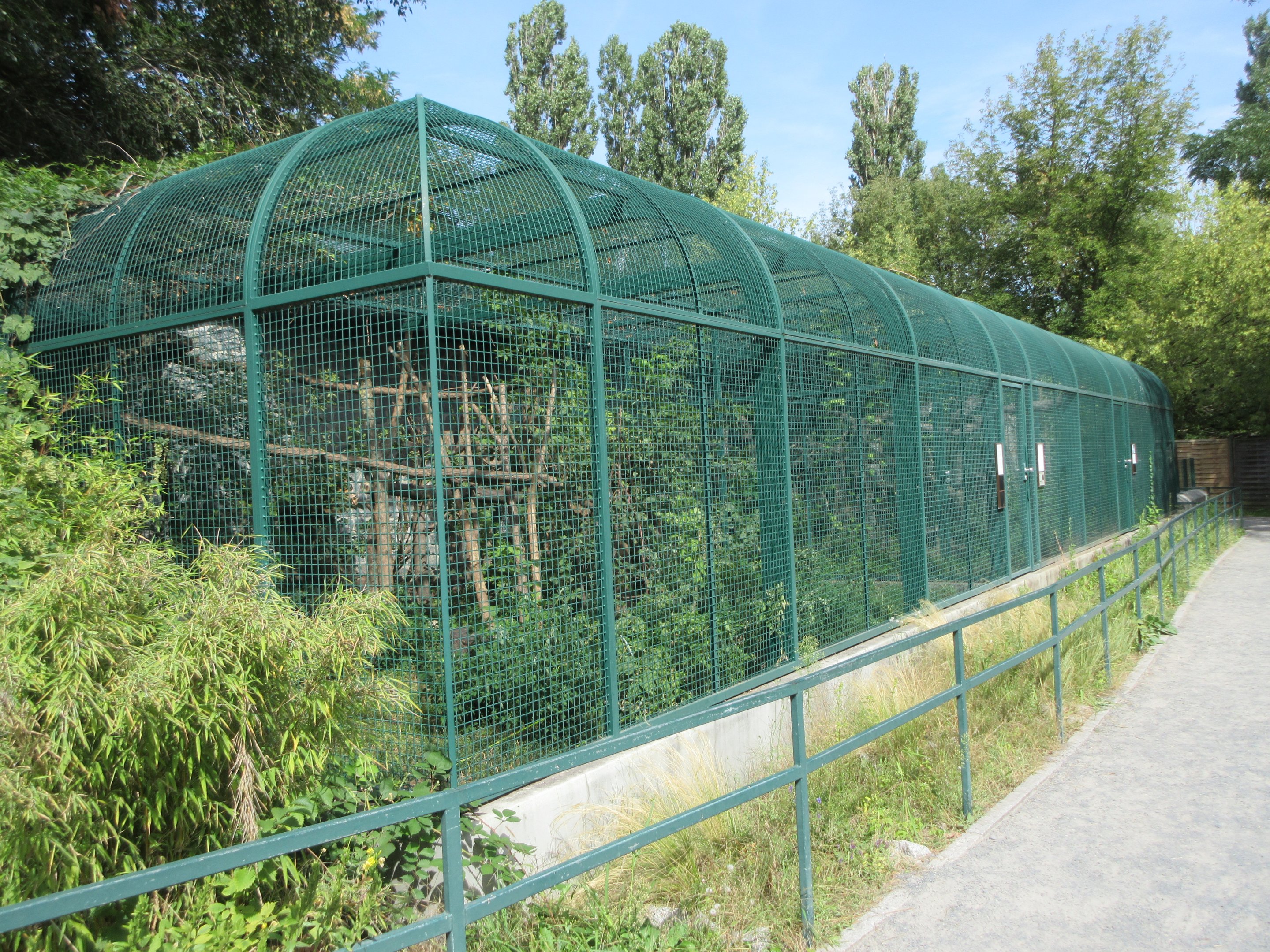 Binturong/Ratel/Margay Exhibits