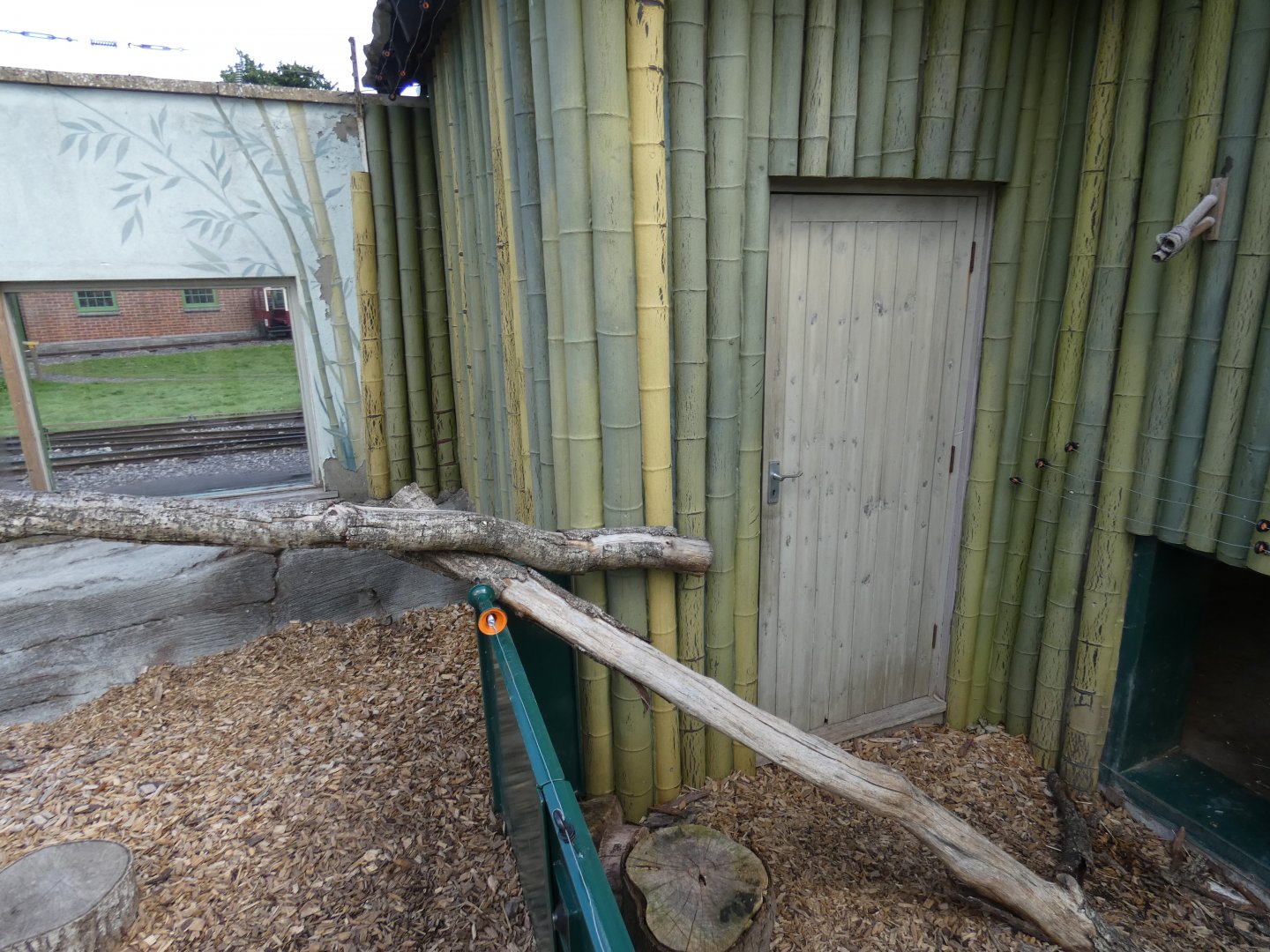 Binturong separation from Otters