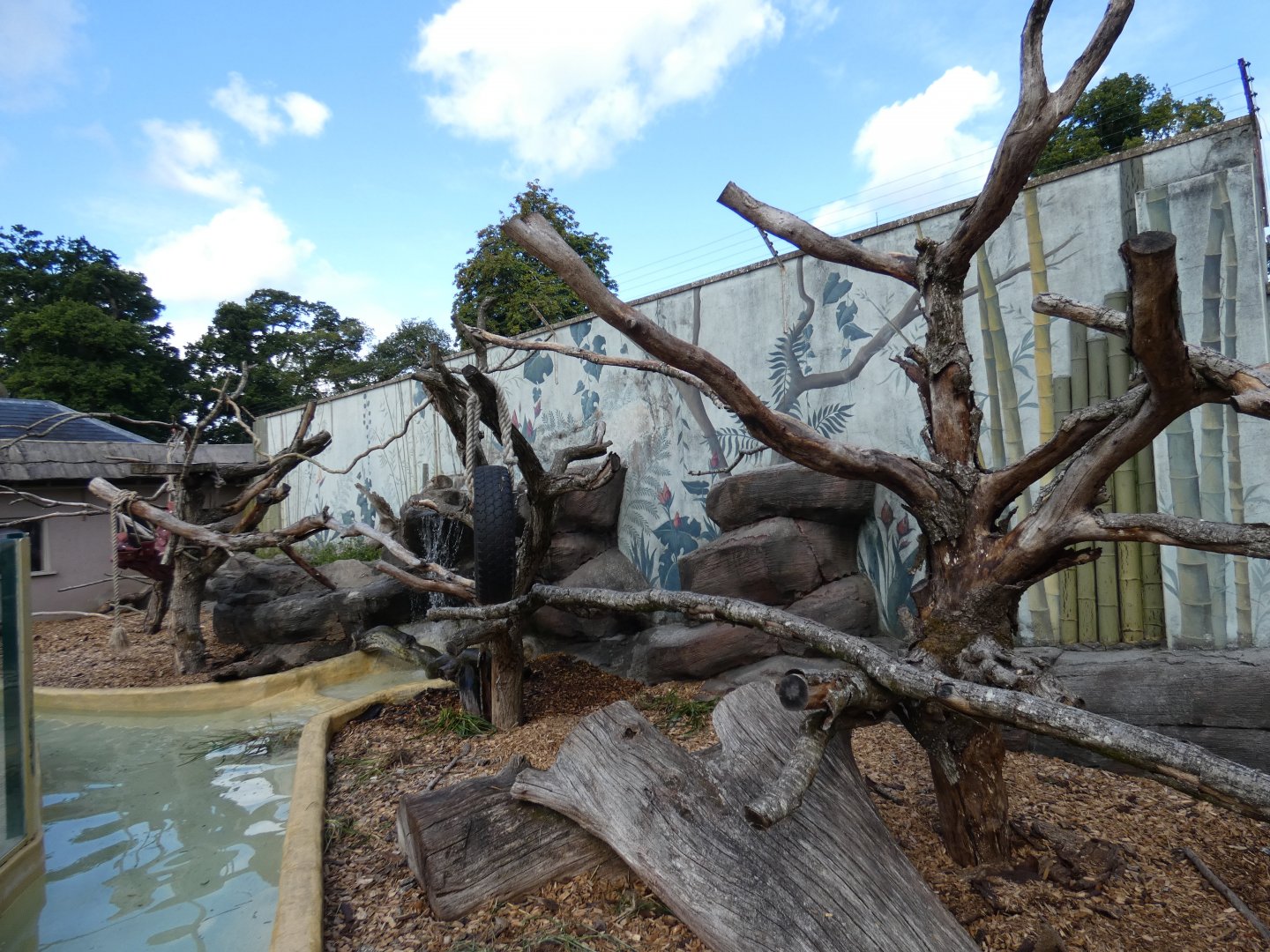 Binturong/Short-clawed Otter enclosure