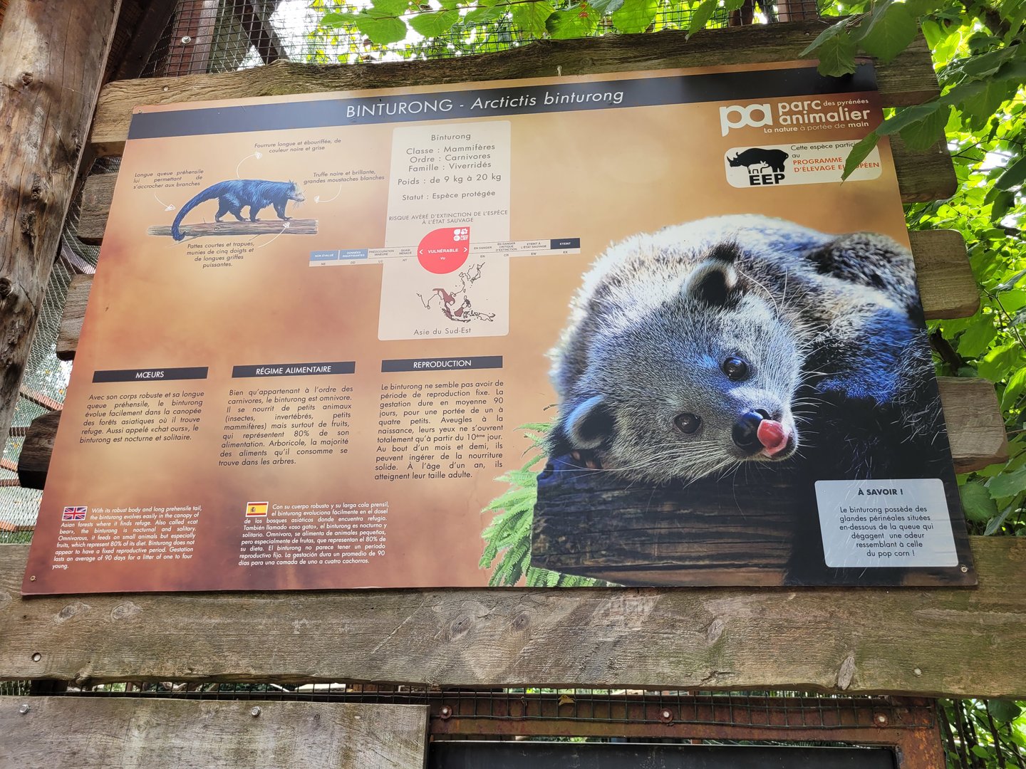 Binturong sign -Parc Animalier des Pyrénées (2023)
