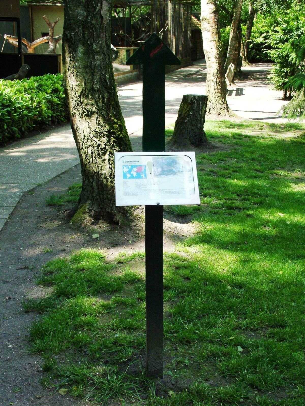 Binturong Signage at Best, 02/06/12