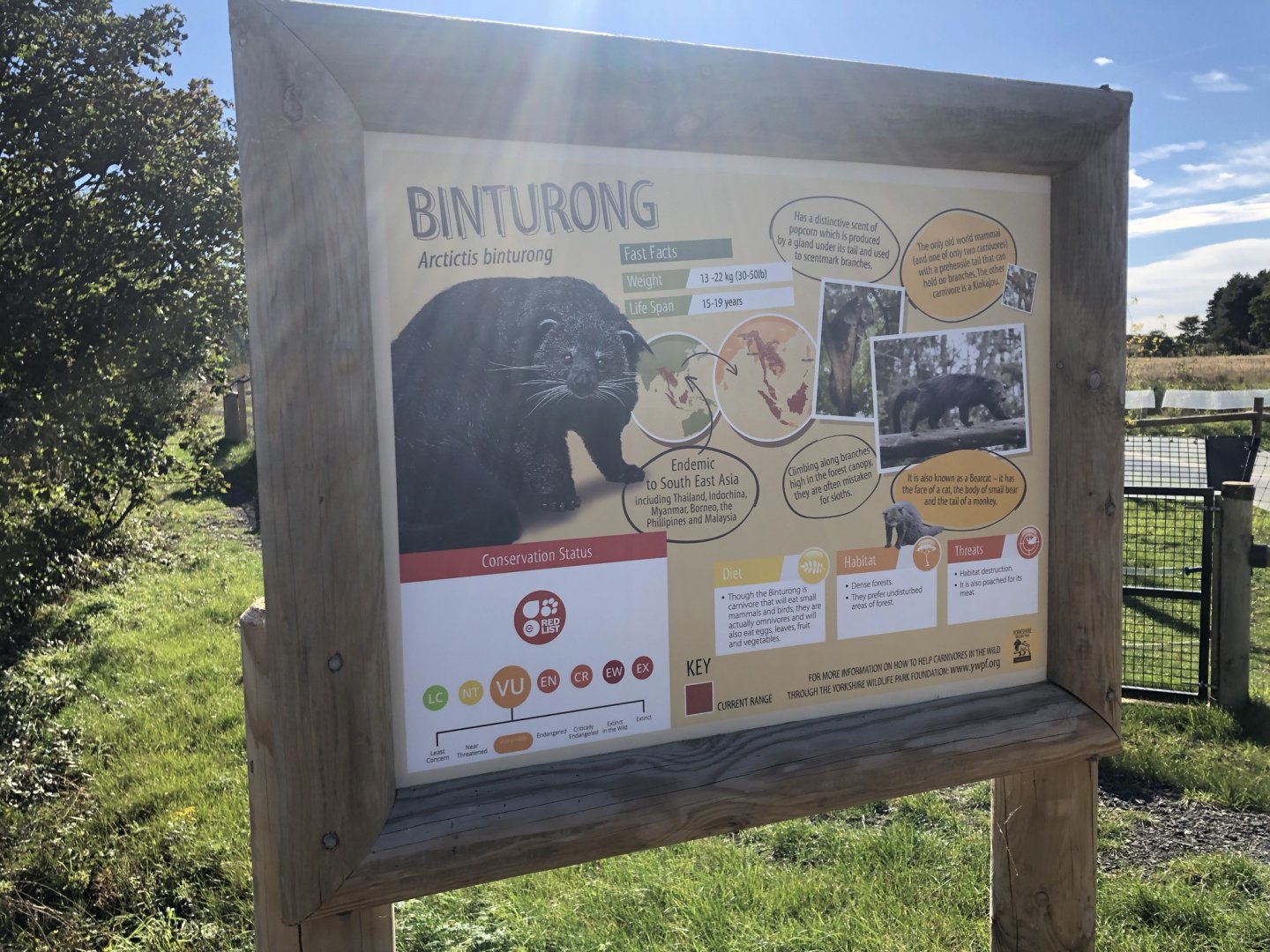 Binturong Signage at Yorkshire Wildlife Park (October 2021)