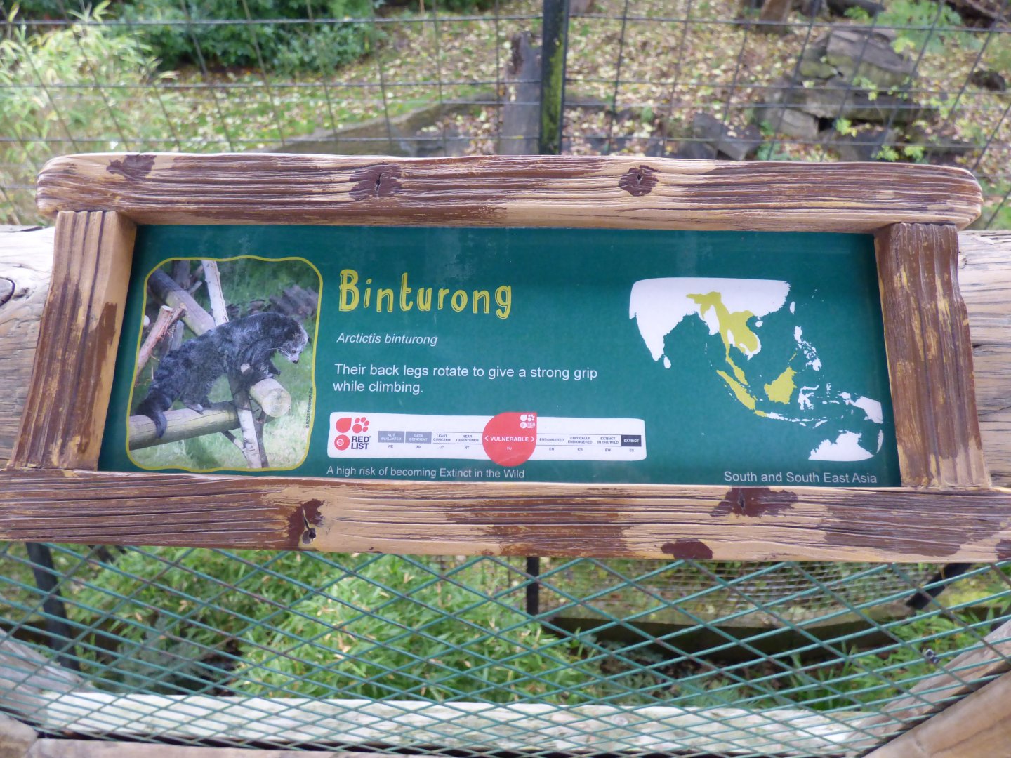 Binturong Signage on old Tiger/Sun Bear enclosure