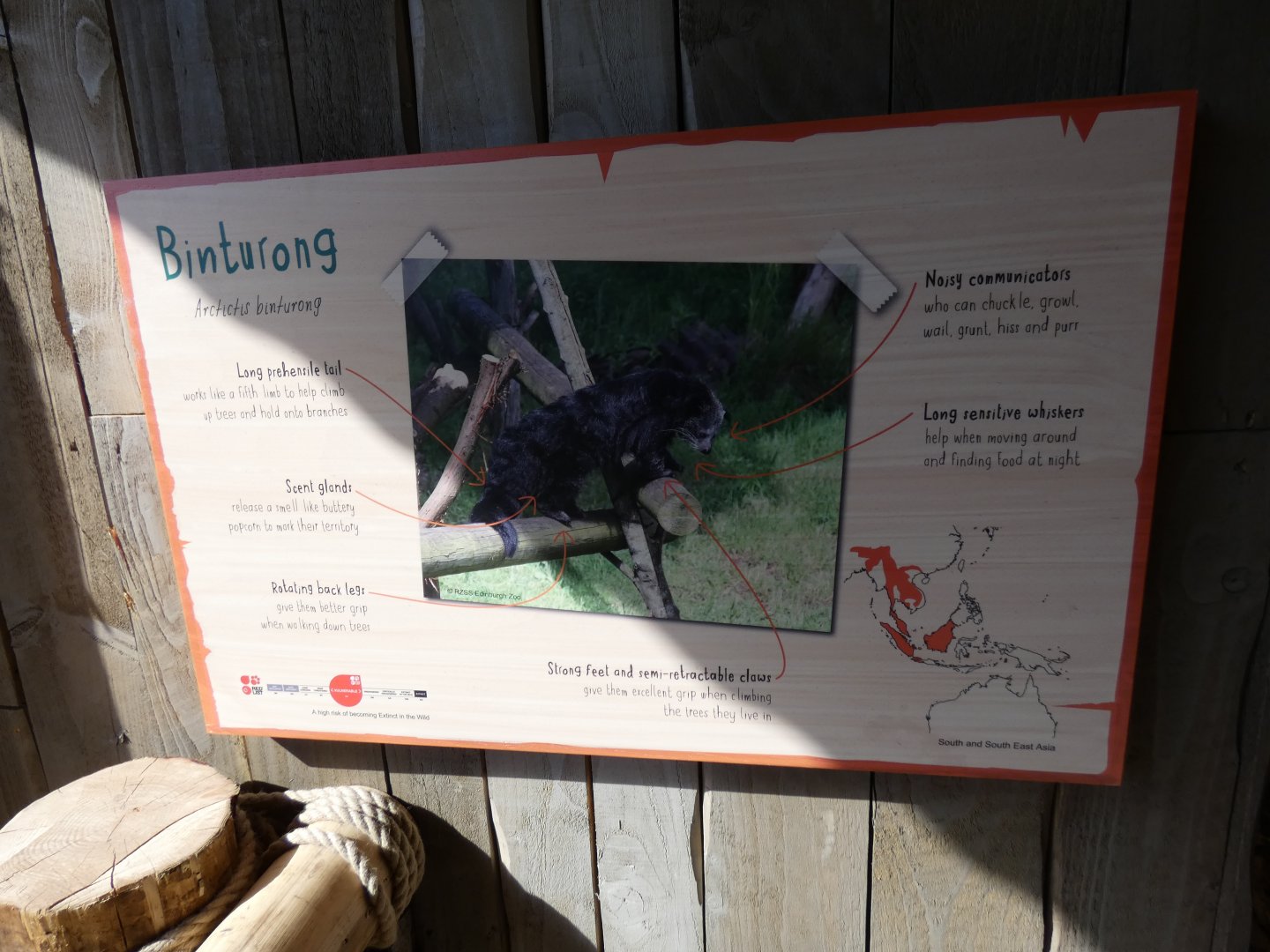 Binturong Signage