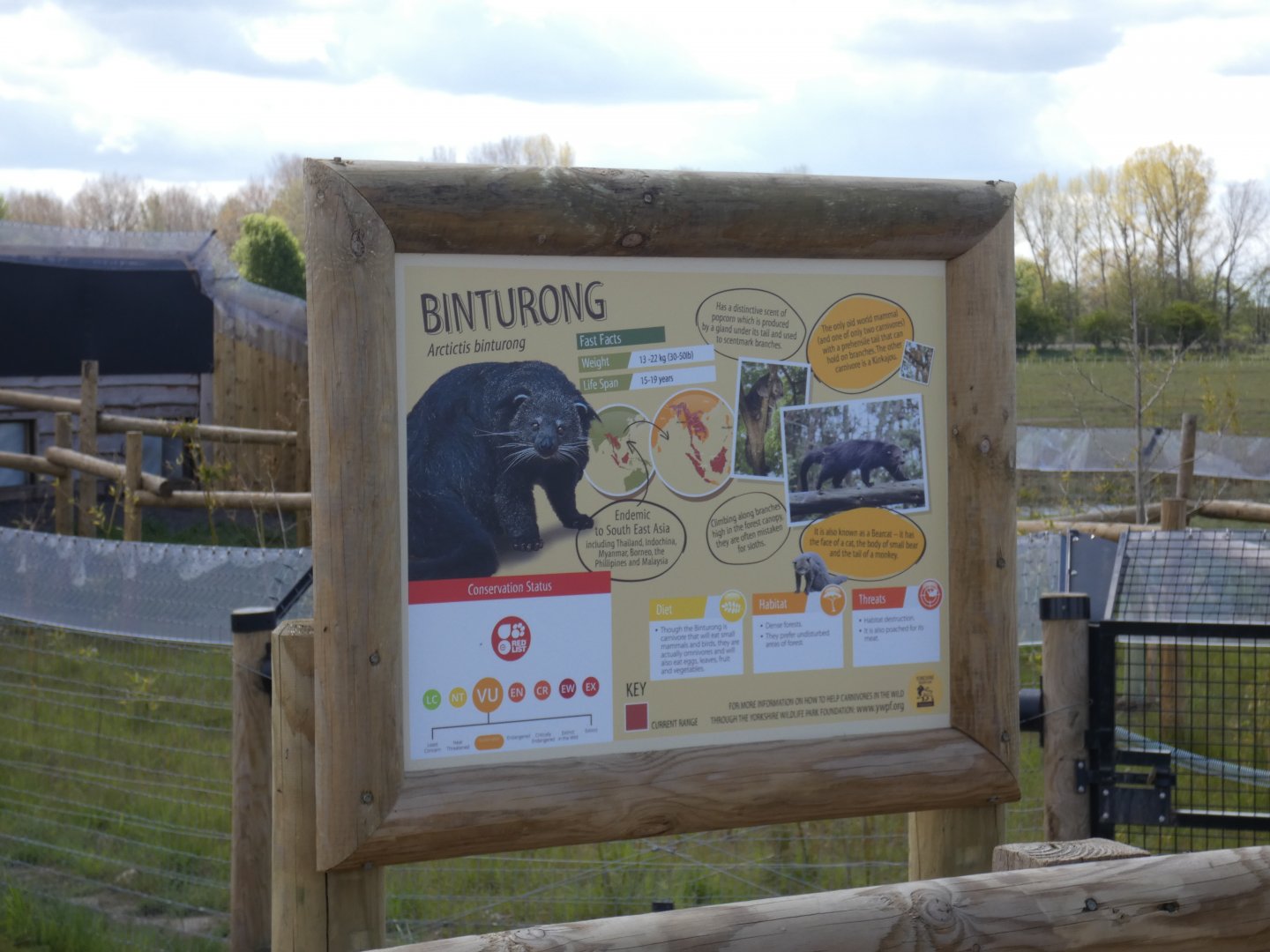 Binturong signage
