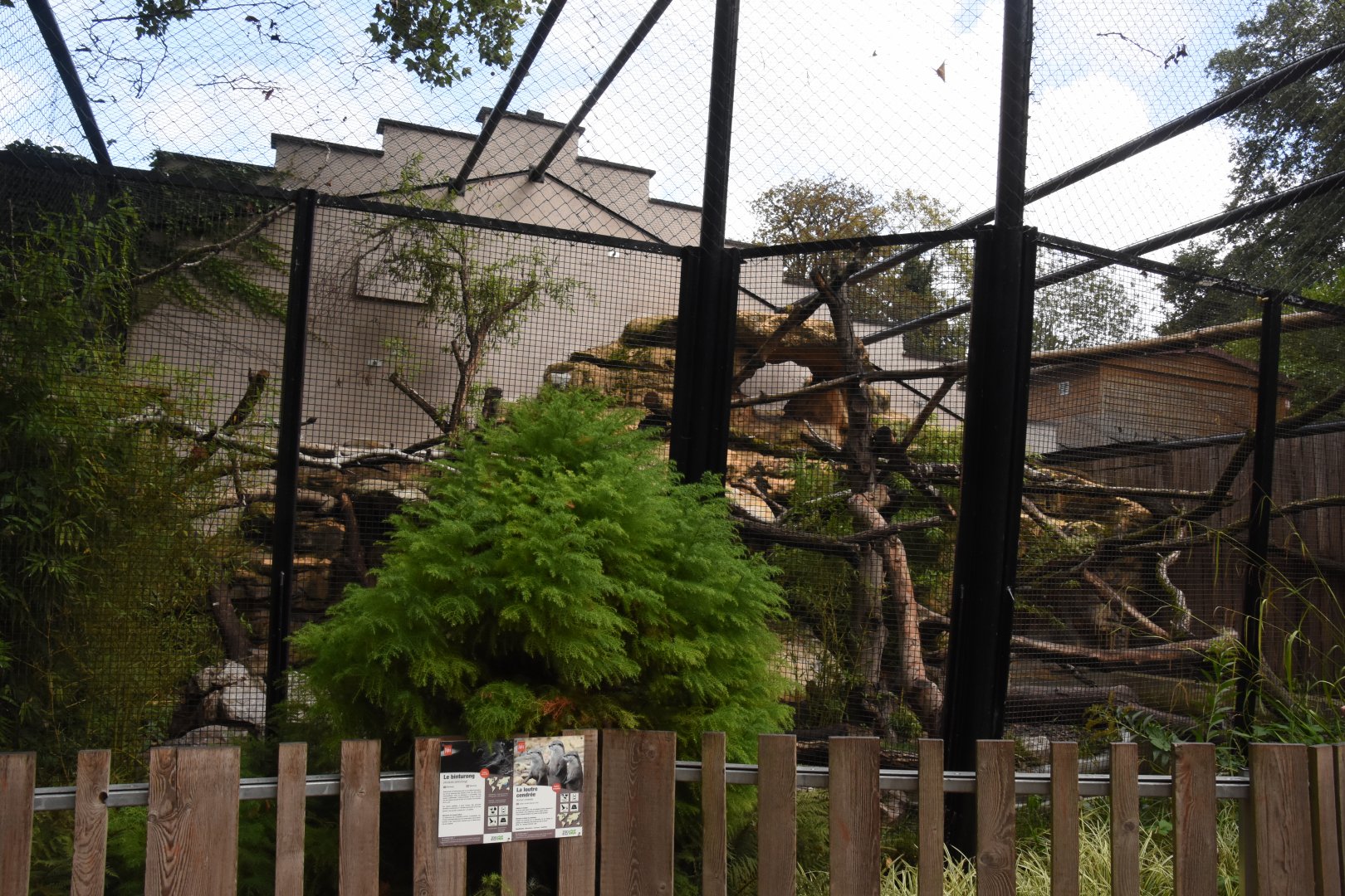 Binturong & Small-clawed Otter enclosure
