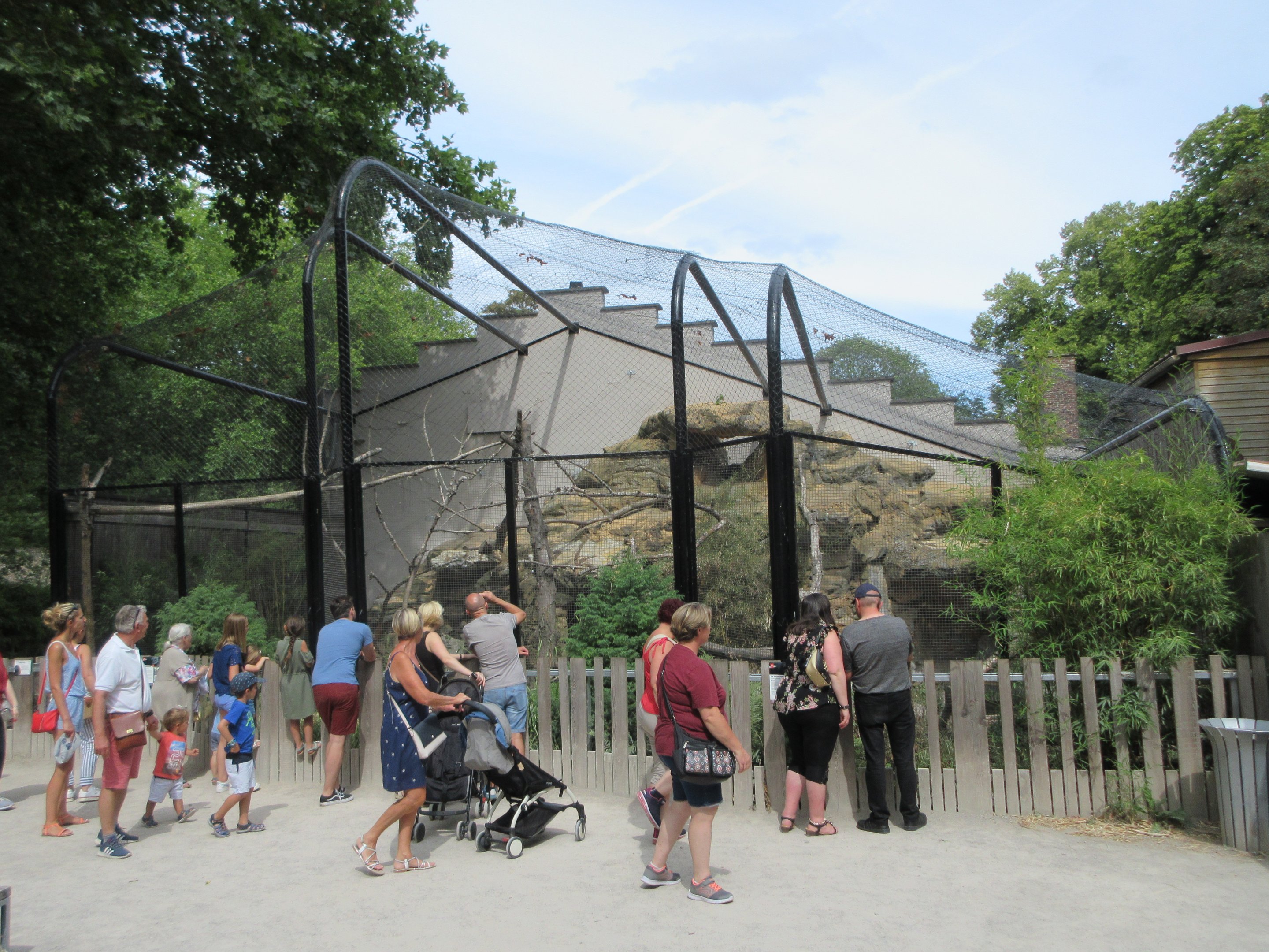 Binturong/Small-clawed Otter Exhibit - popular!