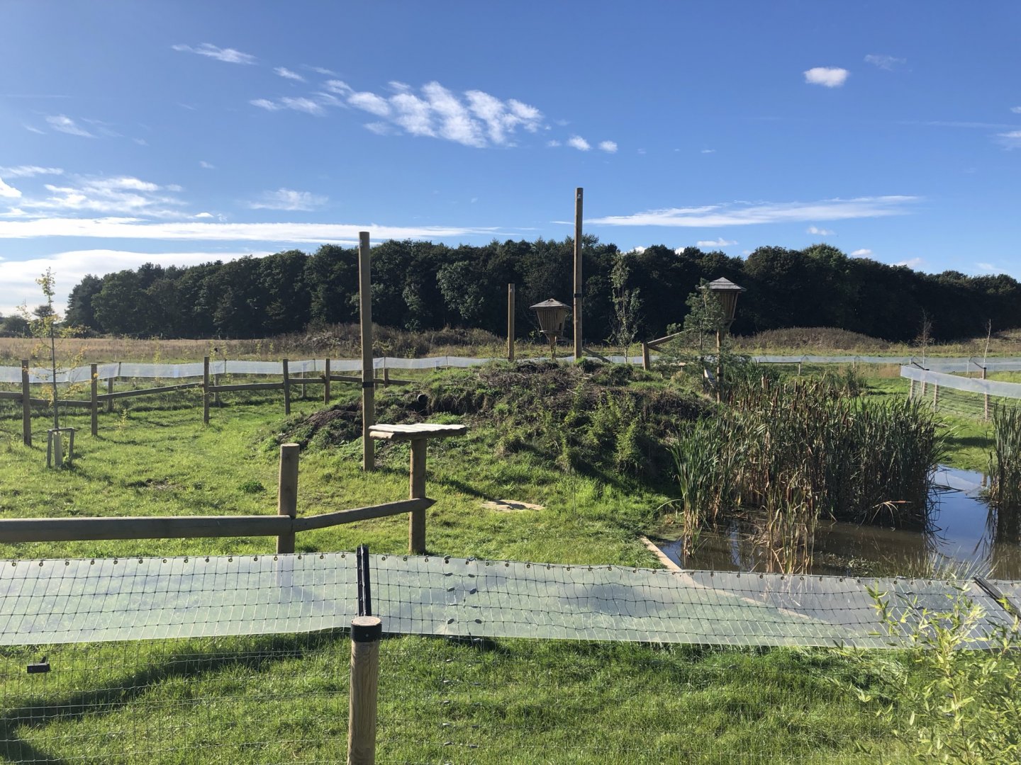 Binturong/Smooth-Coated Otter Enclosure at Yorkshire Wildlife Park (October 2021)
