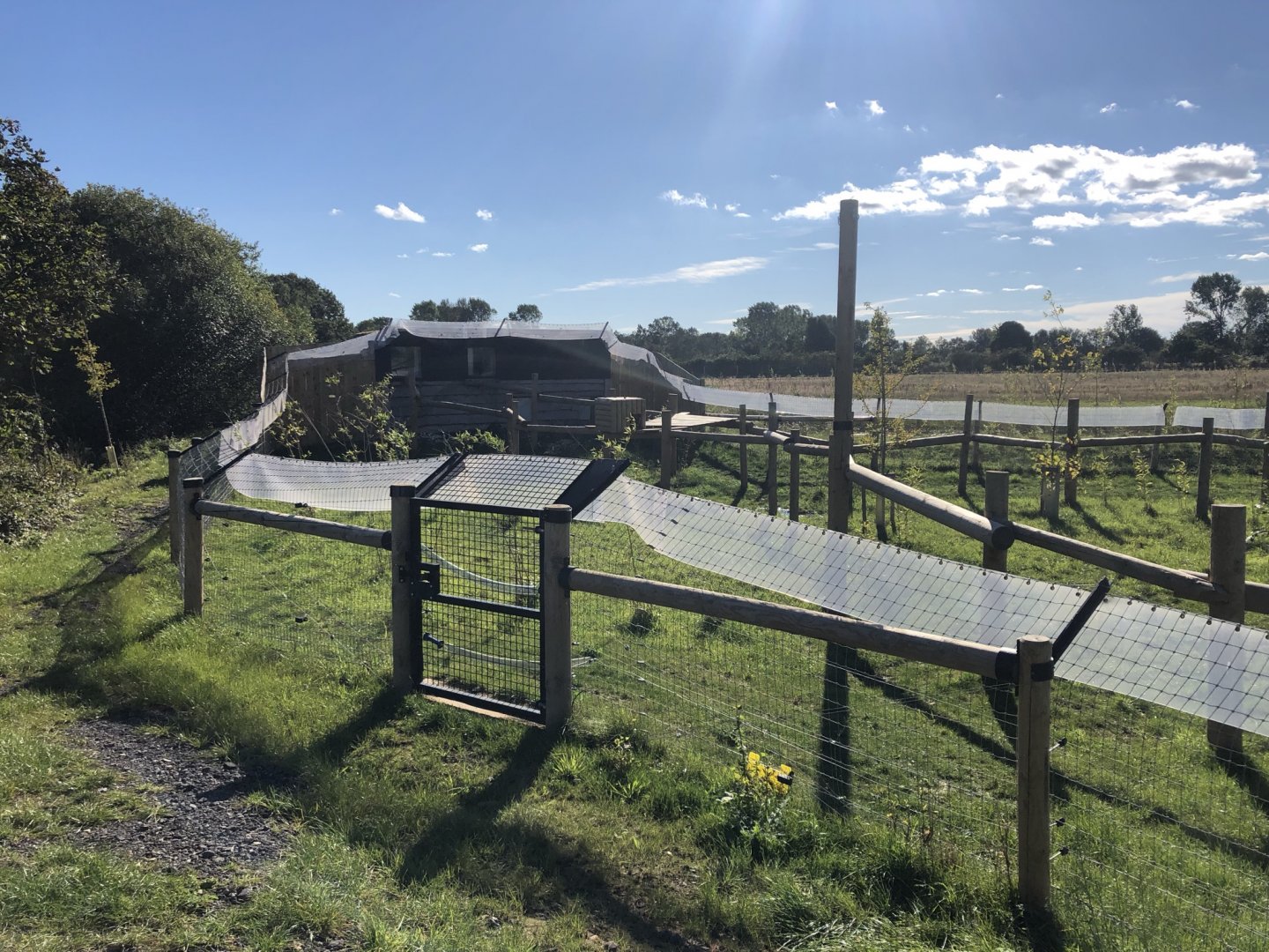 Binturong/Smooth-Coated Otter Enclosure at Yorkshire Wildlife Park (October 2021)