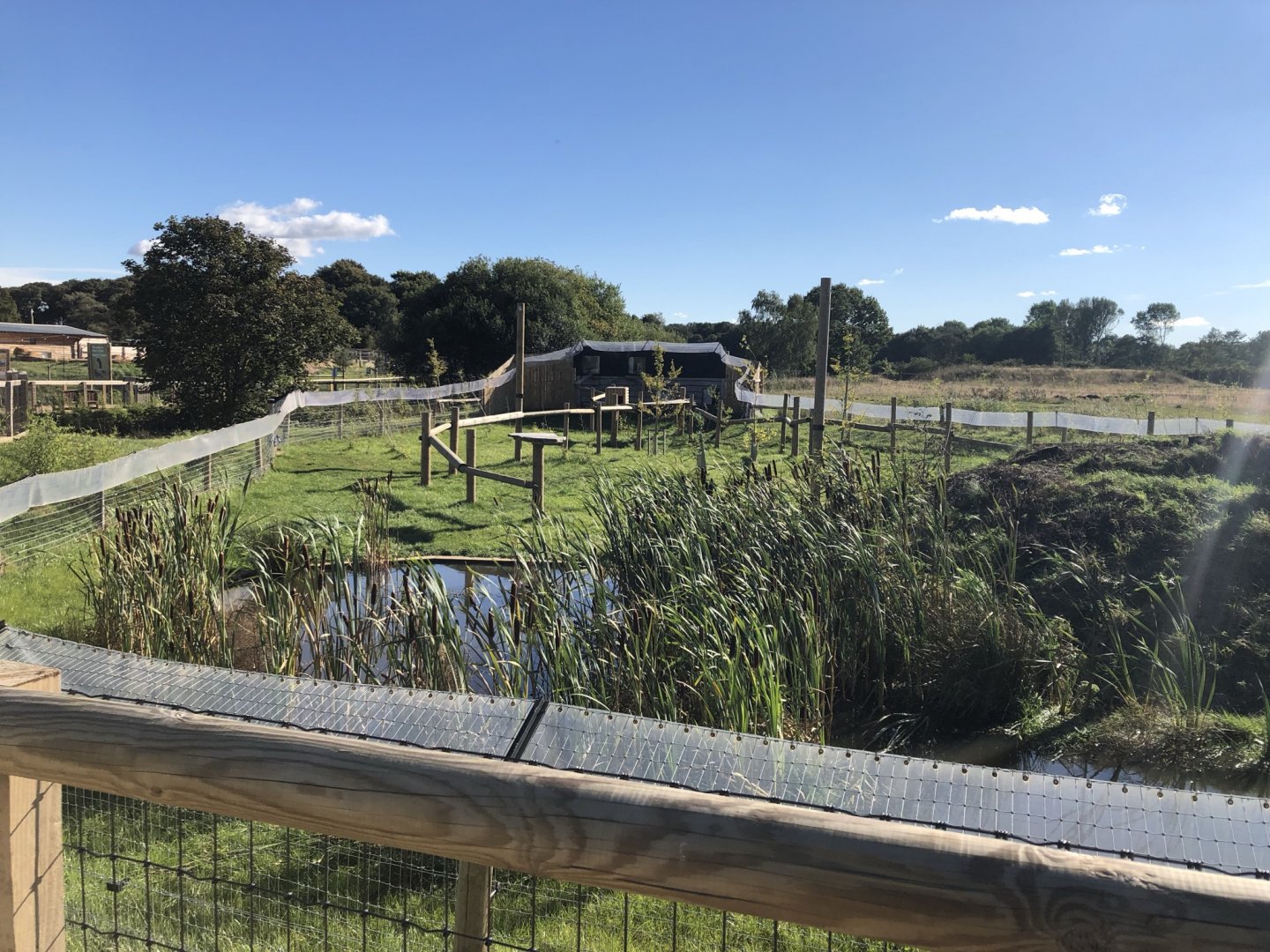 Binturong/Smooth-Coated Otter Enclosure at Yorkshire Wildlife Park (October 2021)