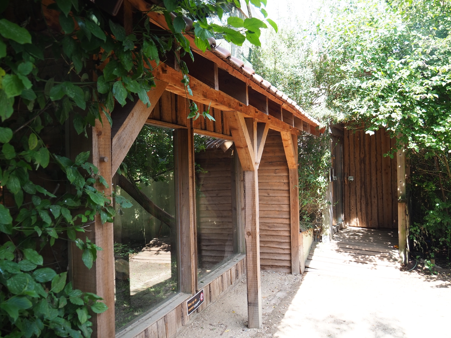 Binturong viewing areas
