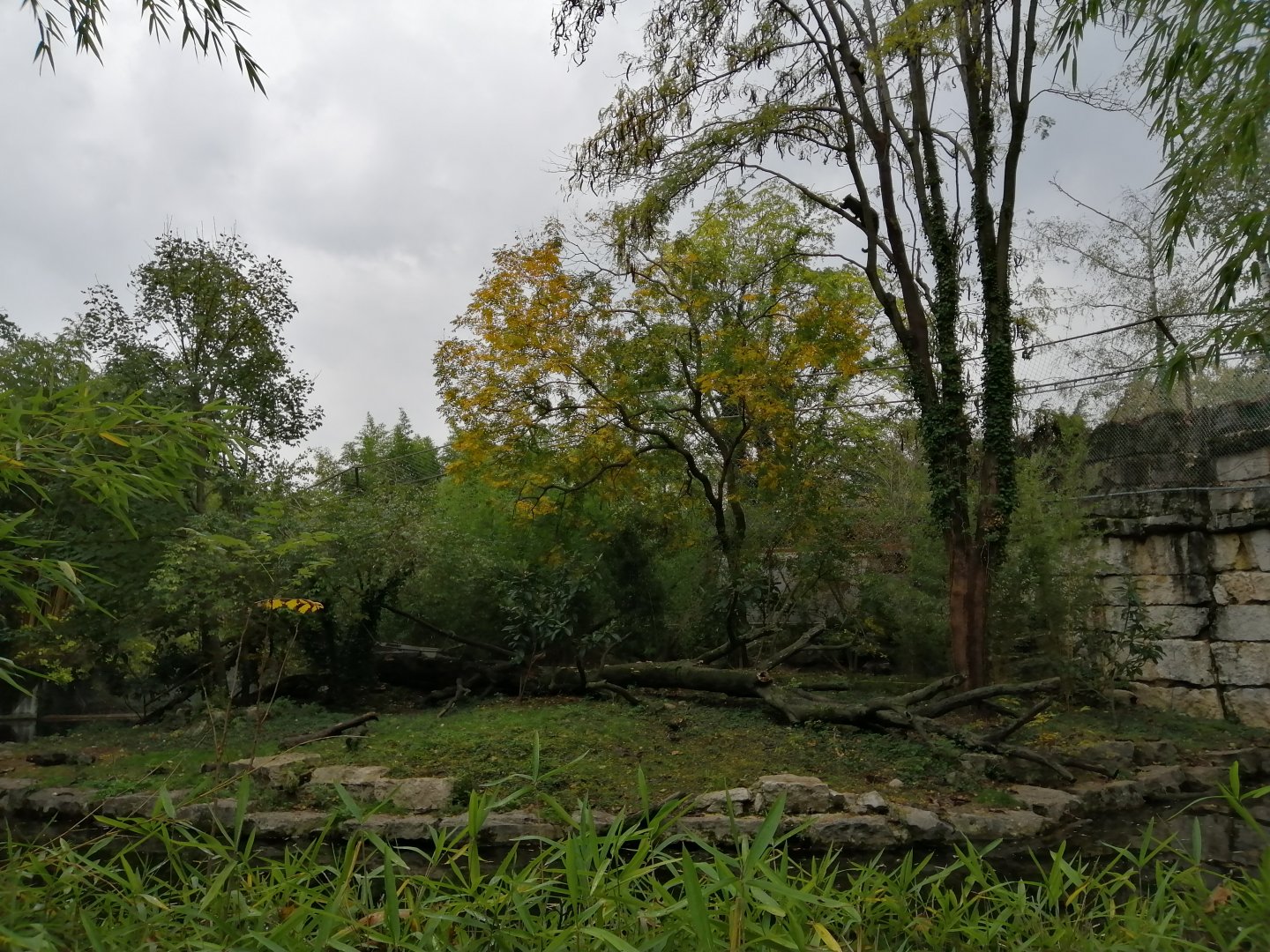 Binturongs and Otters Exhibit