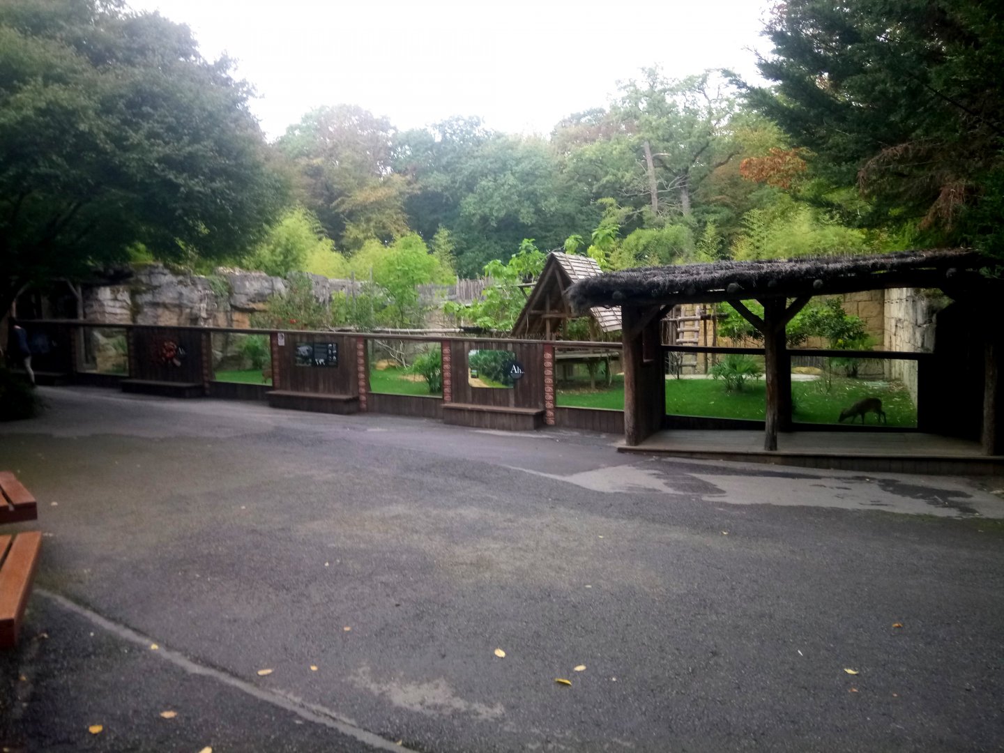 Binturongs and Reeves's Muntjacs Exhibit