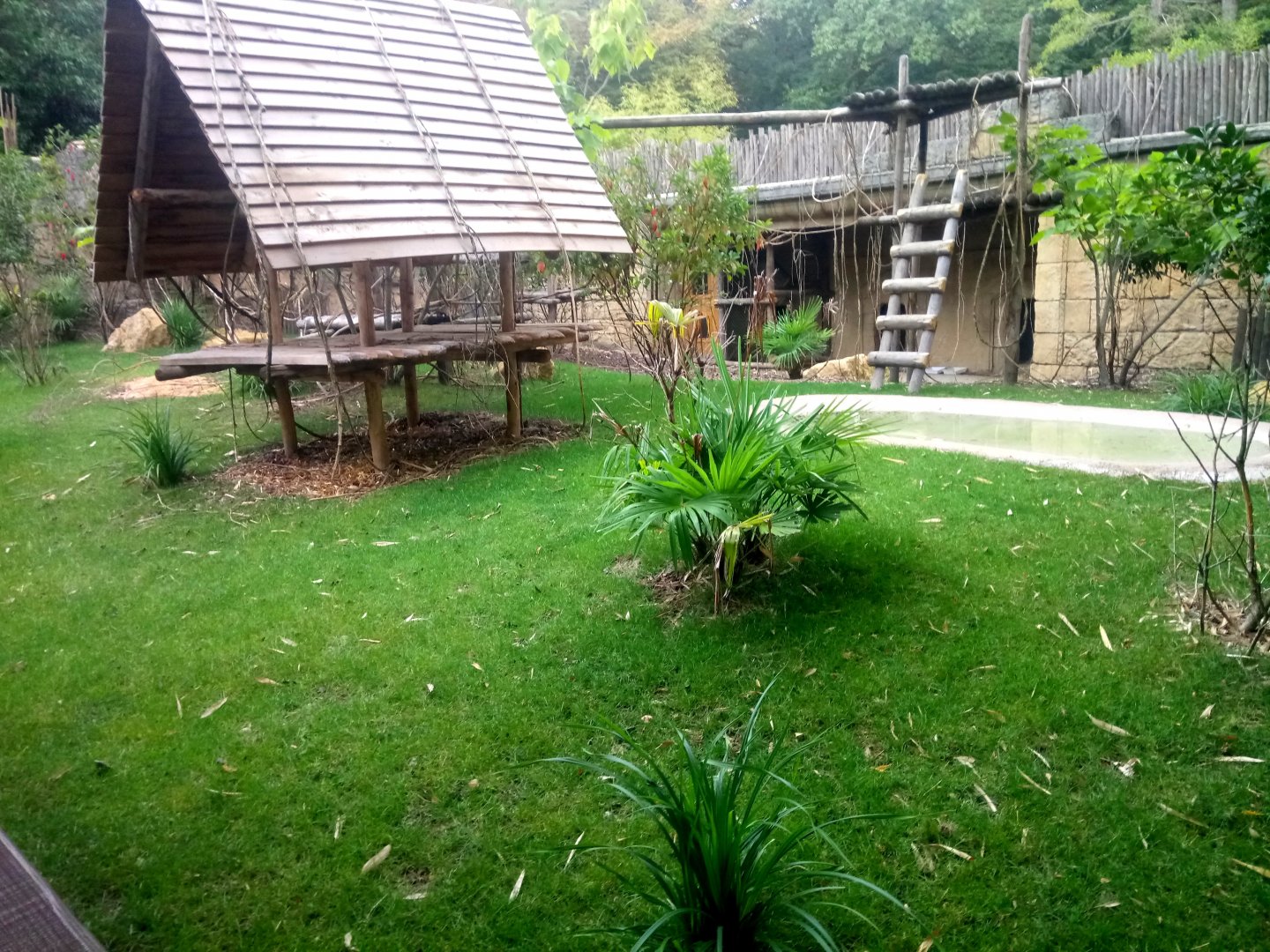 Binturongs and Reeves's Muntjacs Exhibit