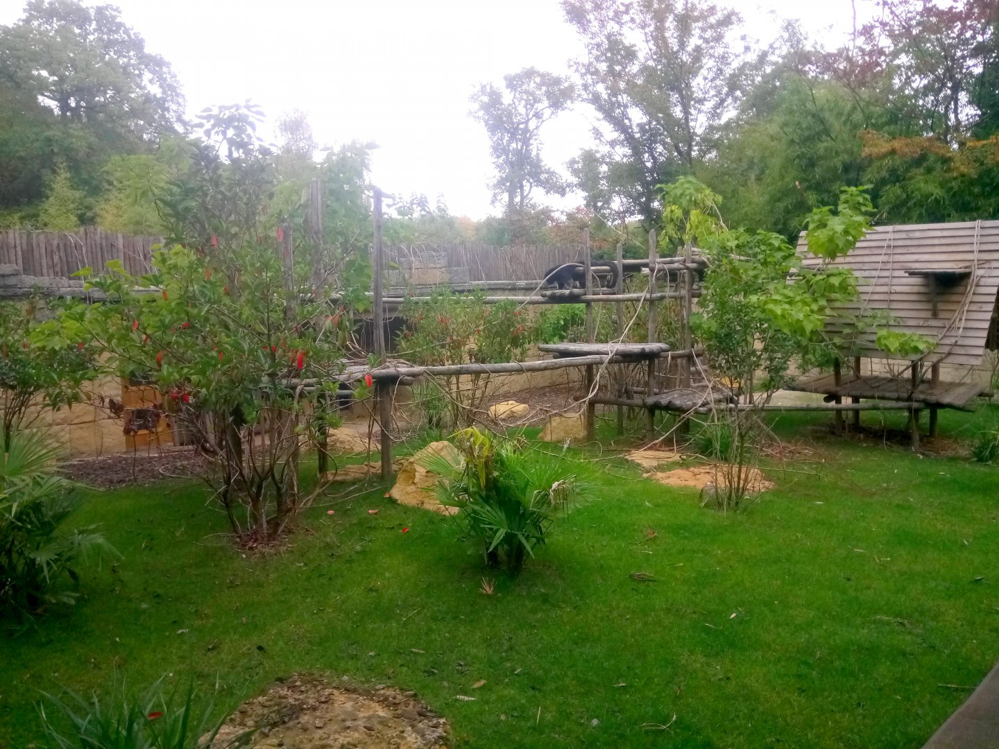 Binturongs and Reeves's Muntjacs Exhibit