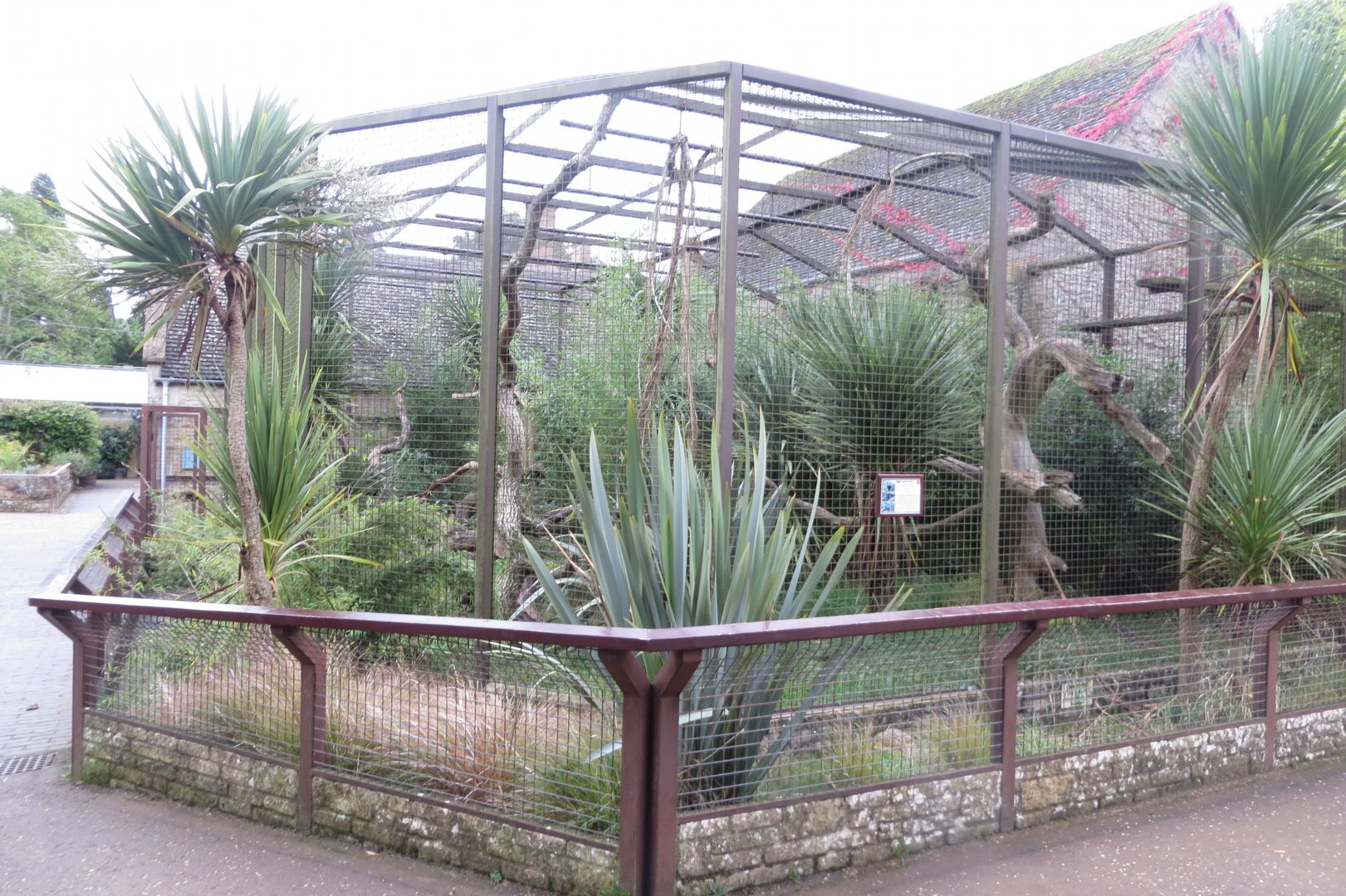 Binturtong enclosure 071019