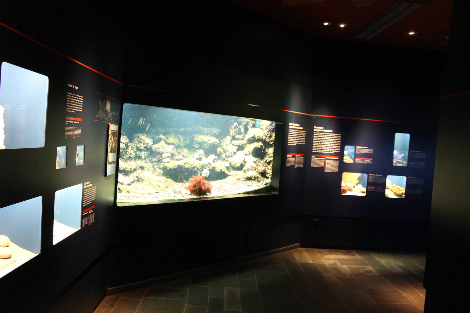 Biochron - Aquarium overview