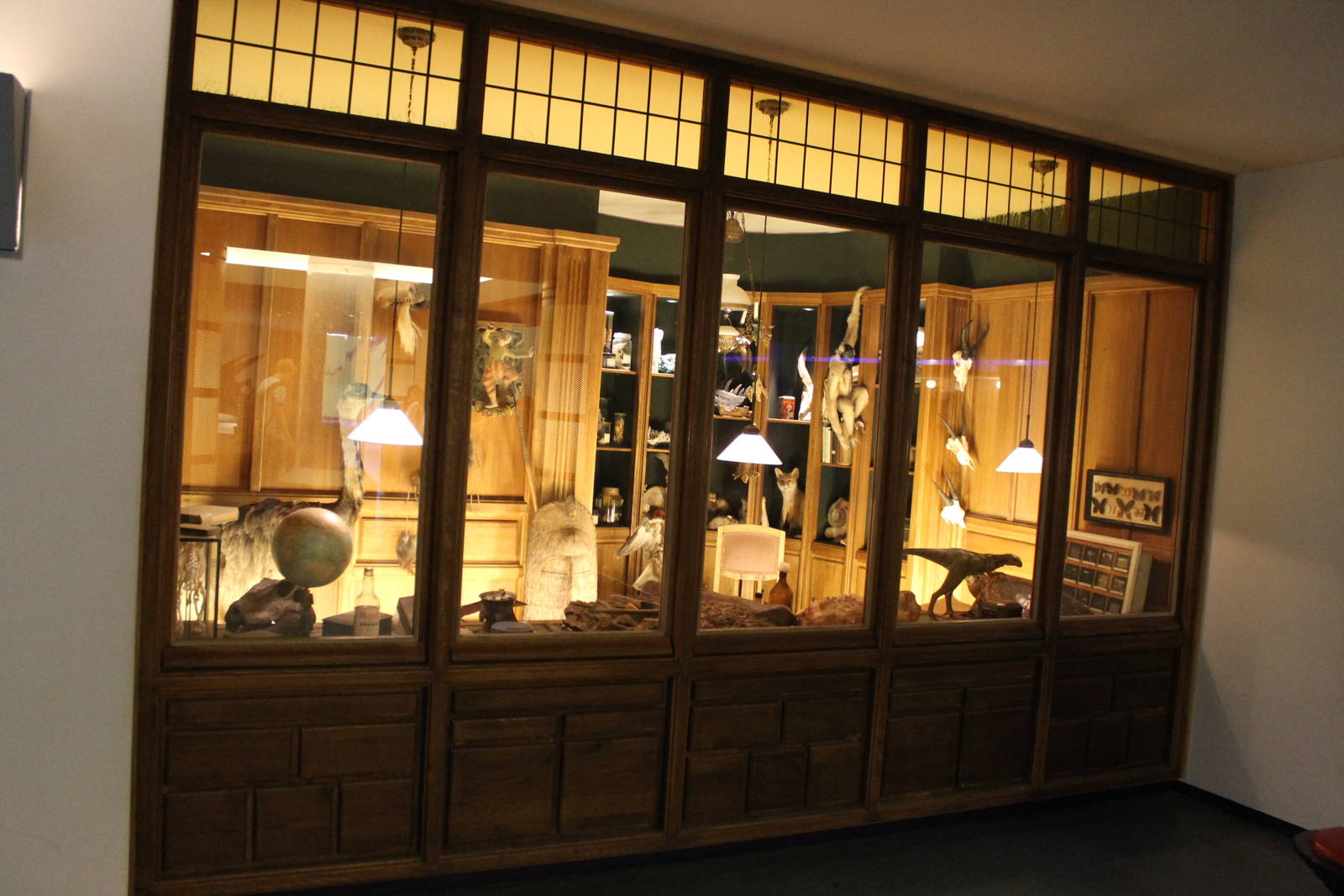 Biochron - Darwin's cabinet display