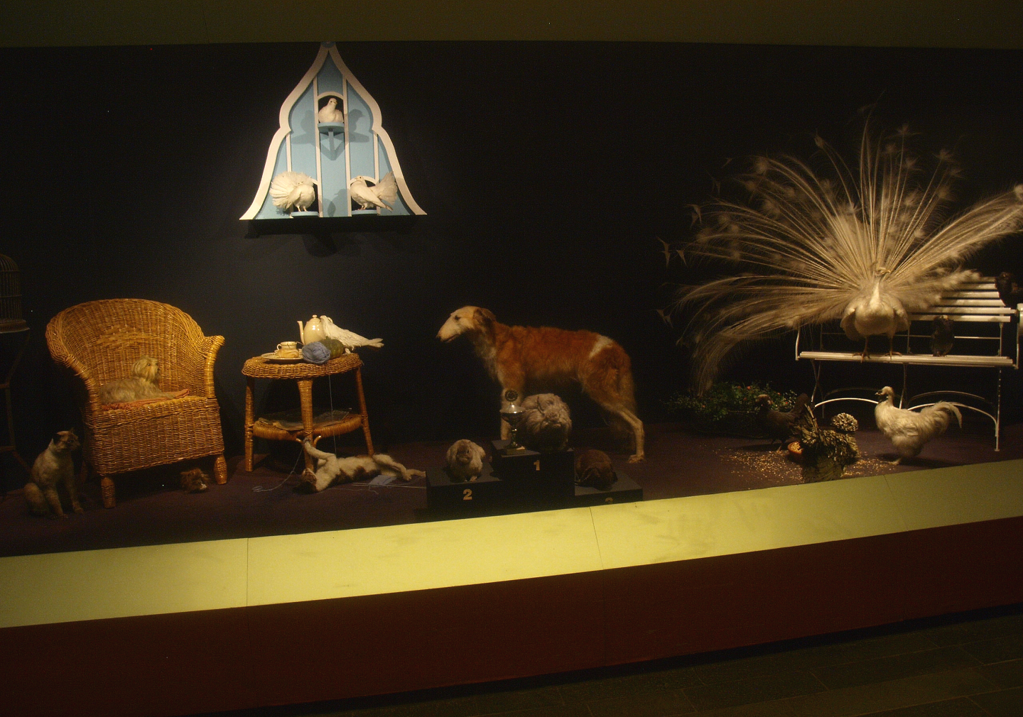 Biochron - Domestic animals display, 2015-07-19