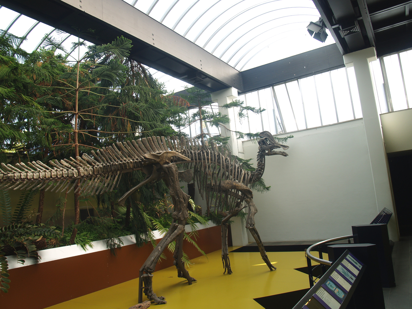 Biochron - Duck-billed dinosaur skeleton, 2009-04-19