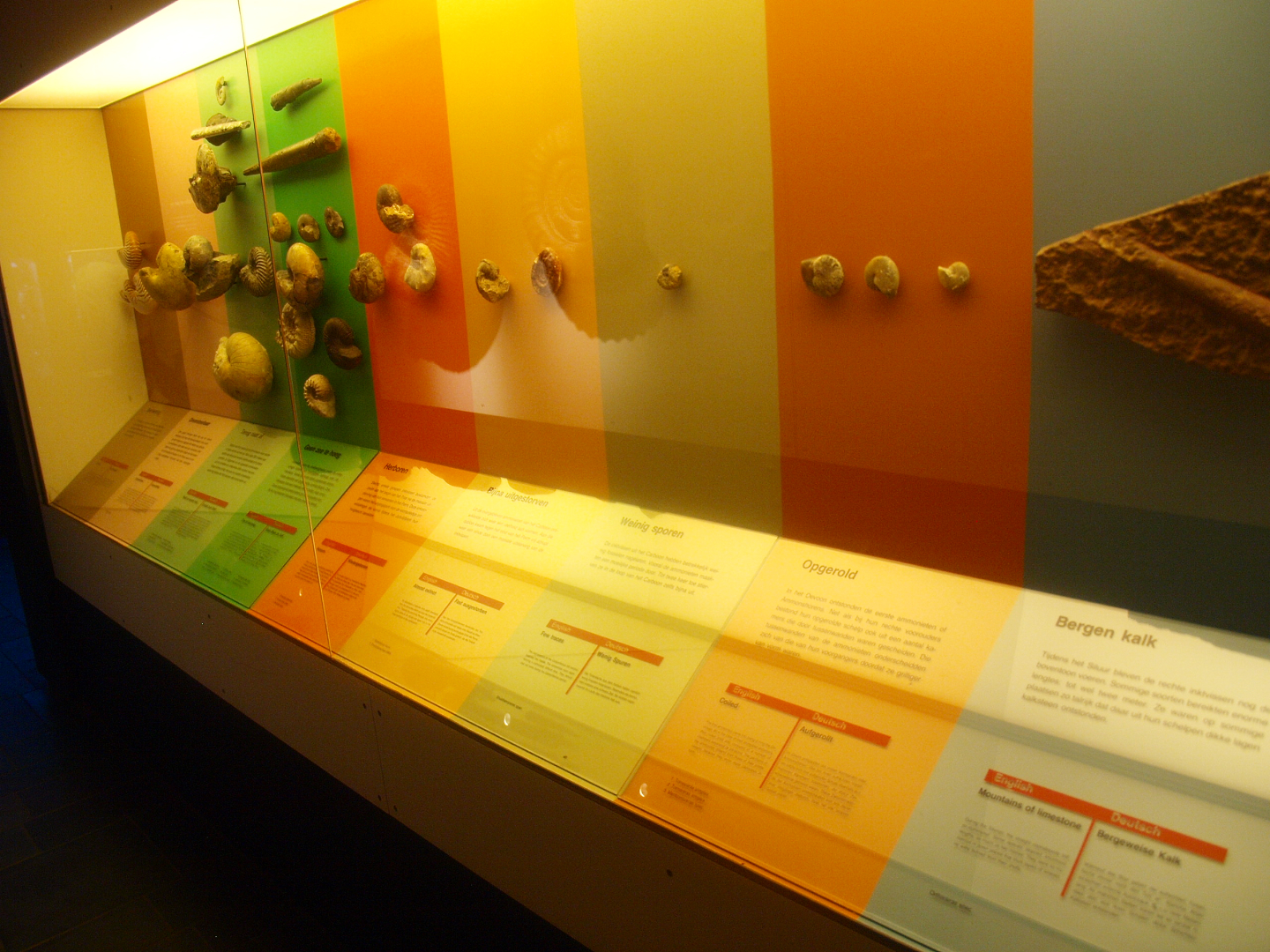 Biochron - Fossil display with geological timeline, 2015-07-19