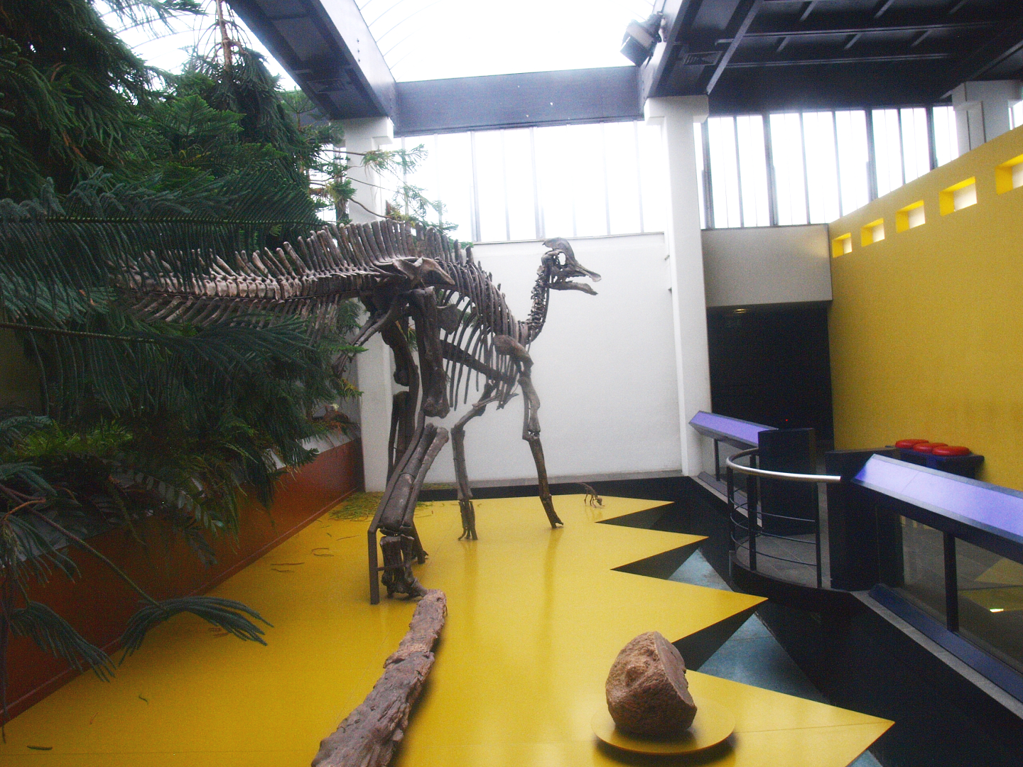 Biochron - Hadrosaurid skeleton, 2015-07-19