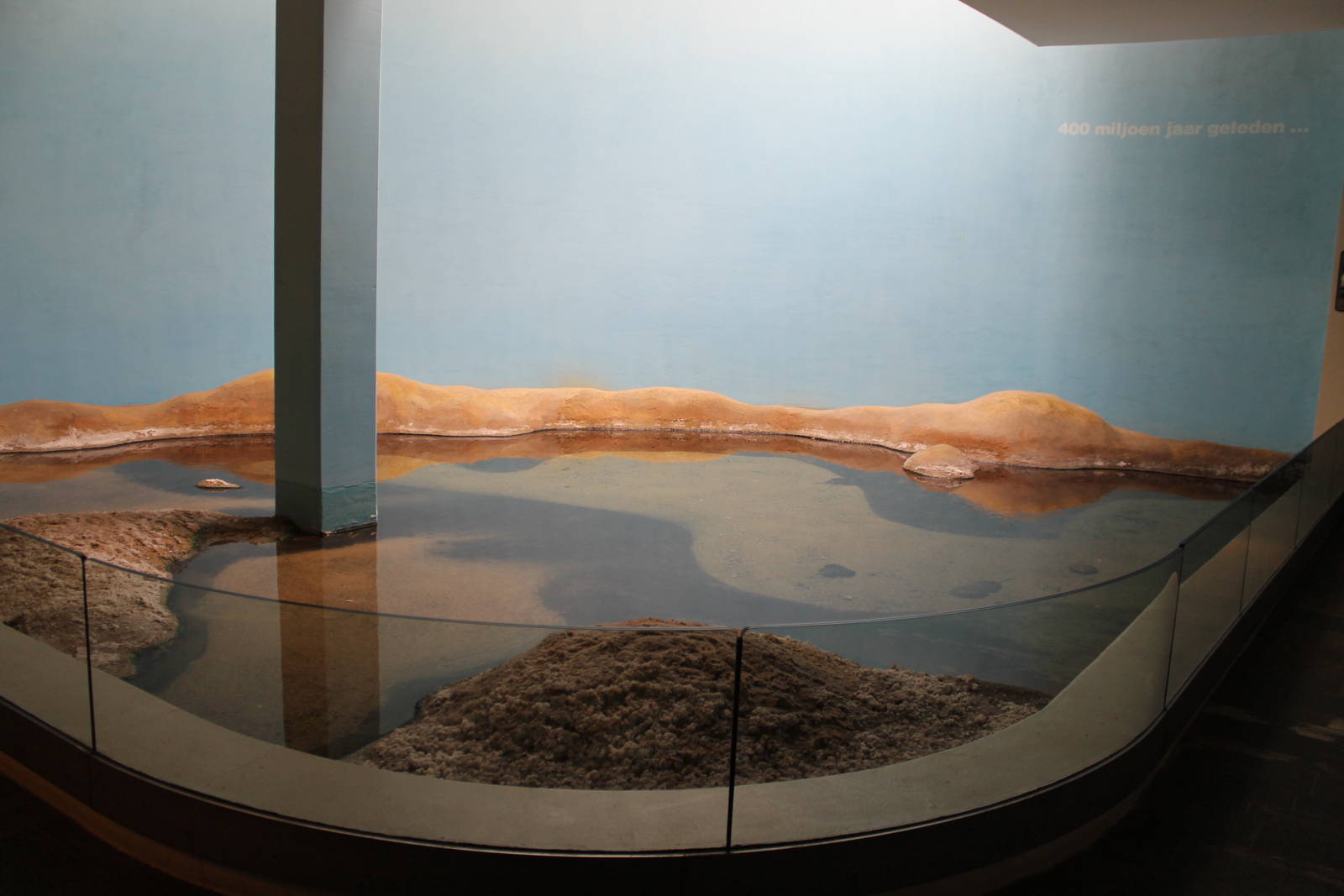 Biochron - Horseshoe crab exhibit