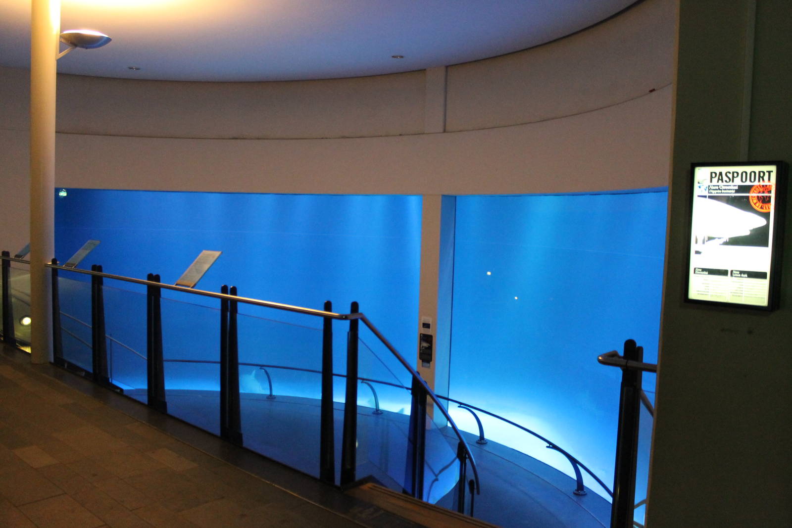 Biochron - Lemon shark tank