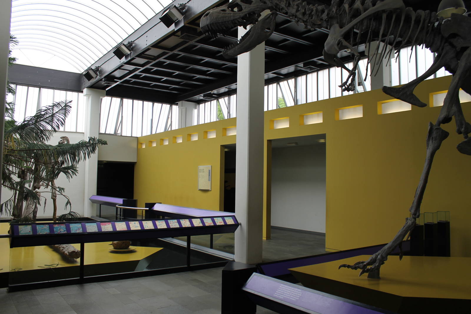 Biochron - Mesozo?c room