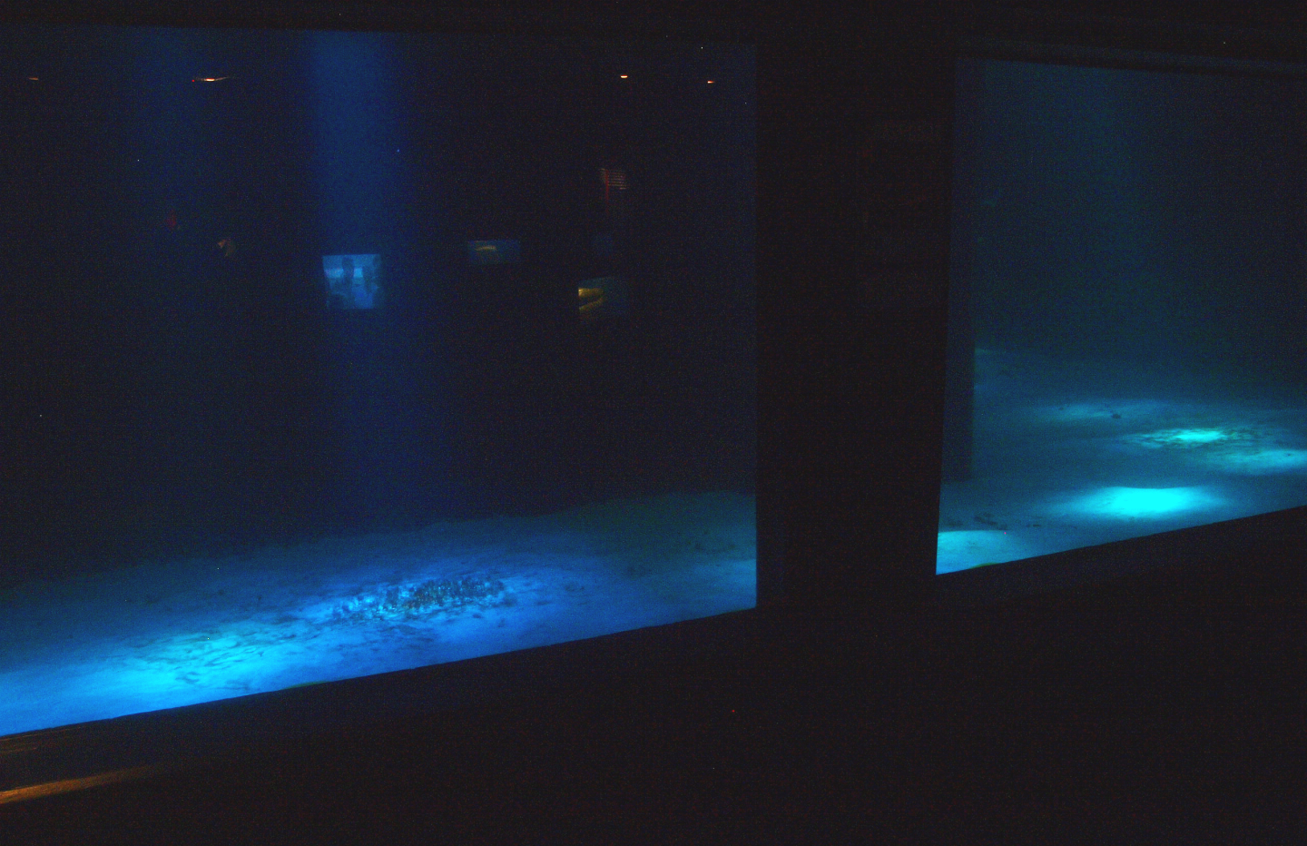 Biochron - Smaller shark tank, 2015-07-19