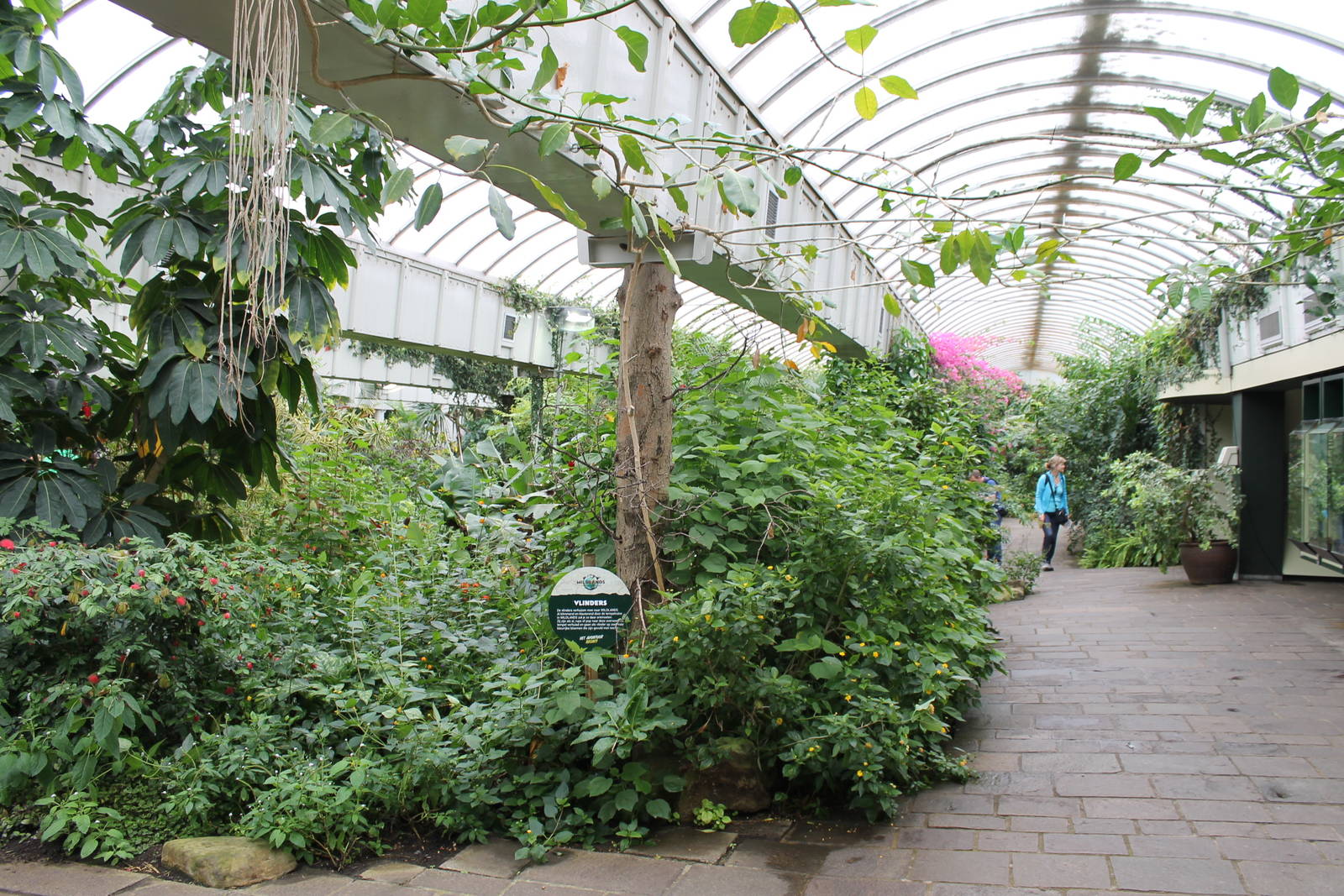 Biochron - Tropical butterfly house