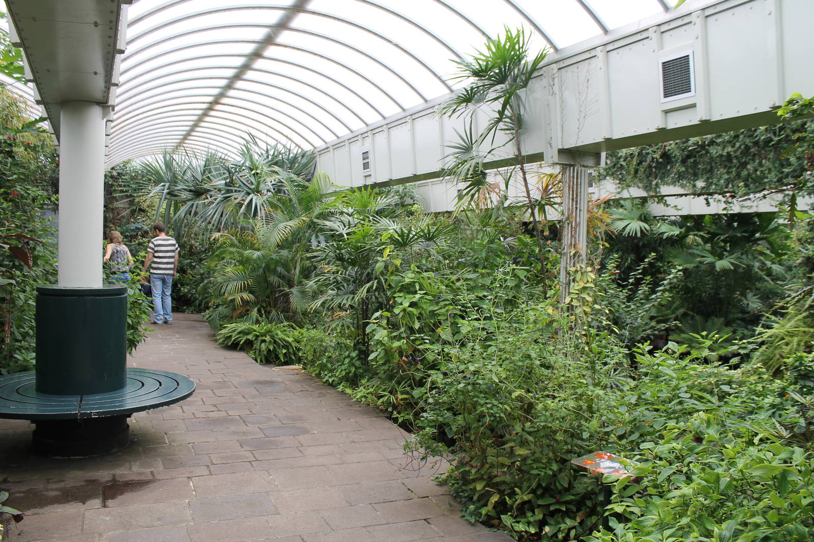 Biochron - Tropical butterfly house