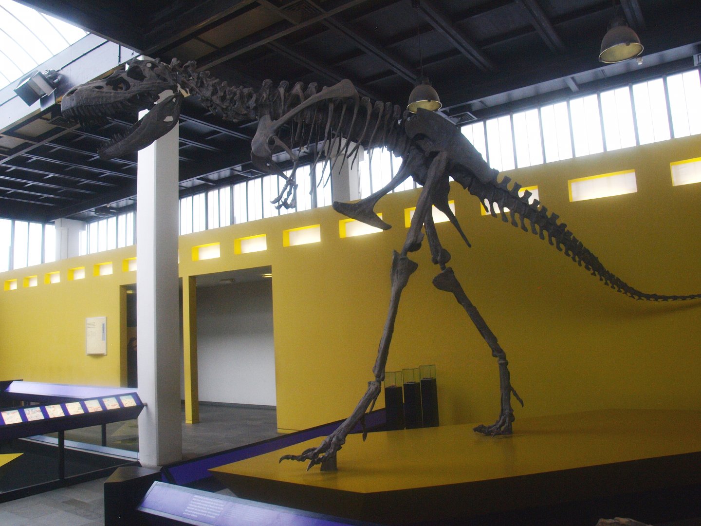 Biochron - Tyrannosaurus rex skeleton, 2015-07-19