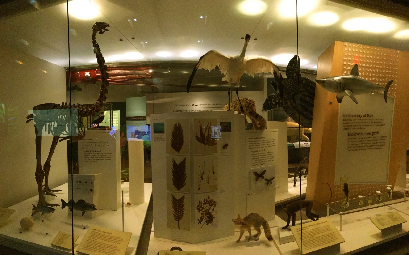 Biodiversity At Risk