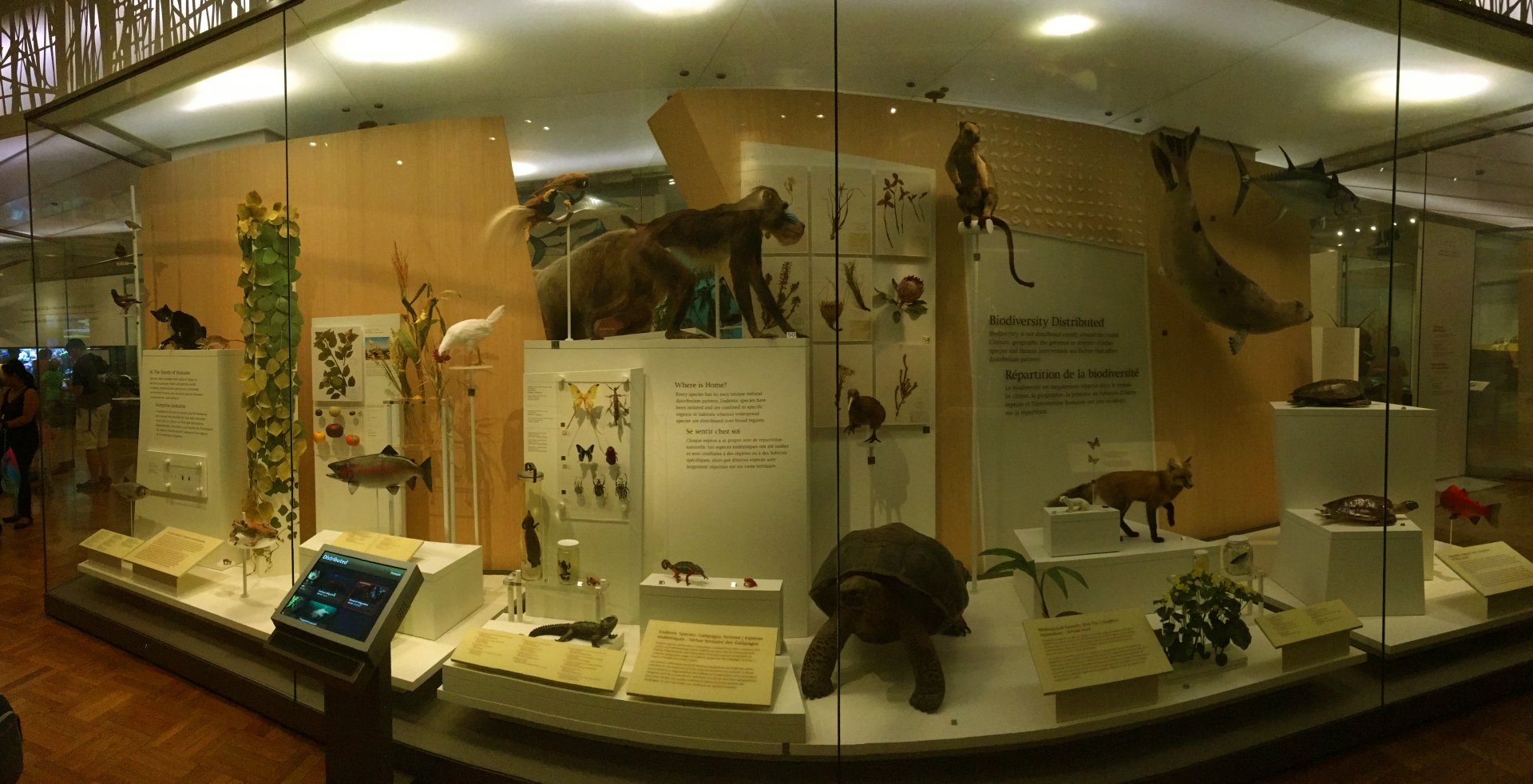 Biodiversity Distributed