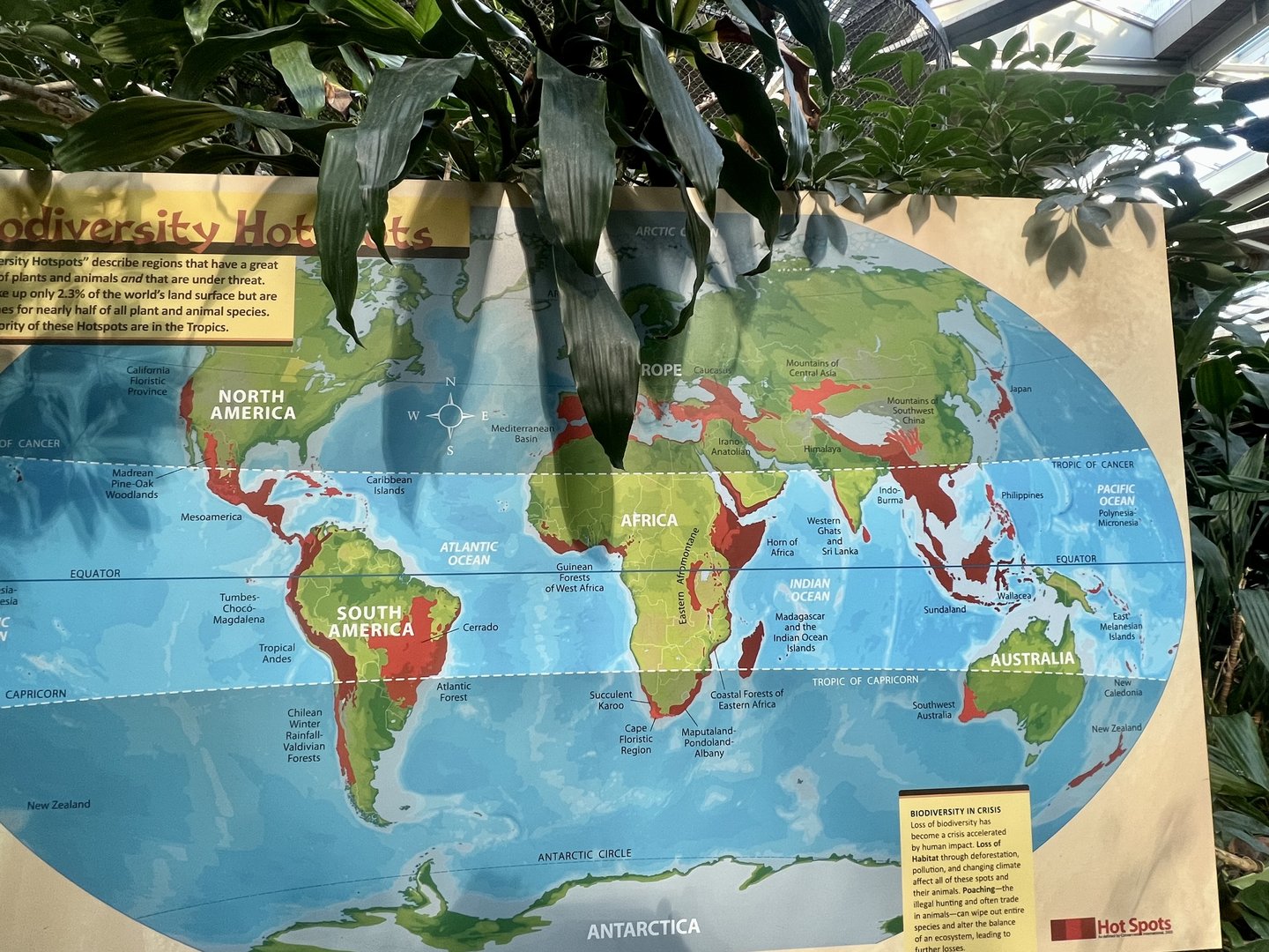 Biodiversity Hot Spots