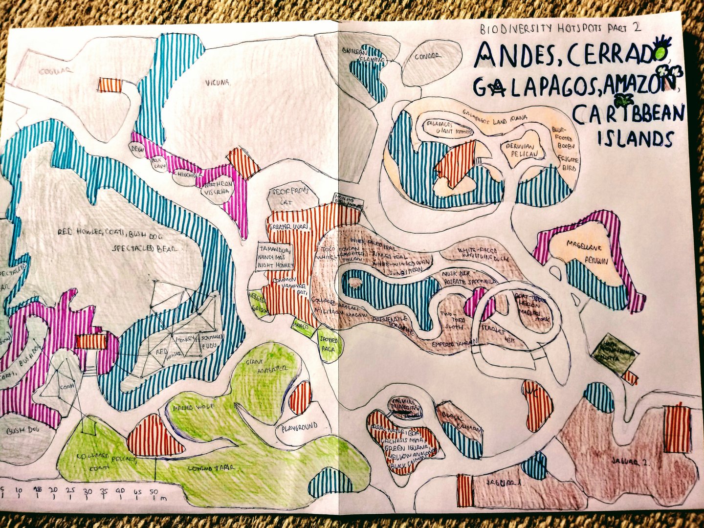Biodiversity Hotspots Part 2: Andes, Cerrado, Amazon, Caribbean Islands and Galápagos
