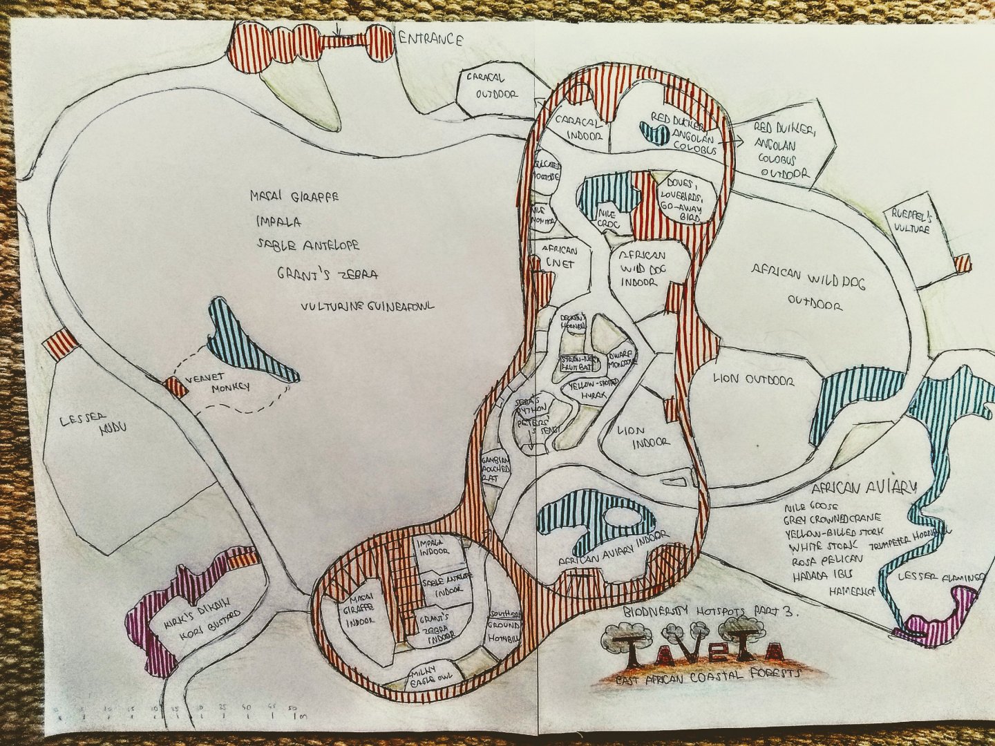 Biodiversity Hotspots Part 3.: Taveta East African coastal forests