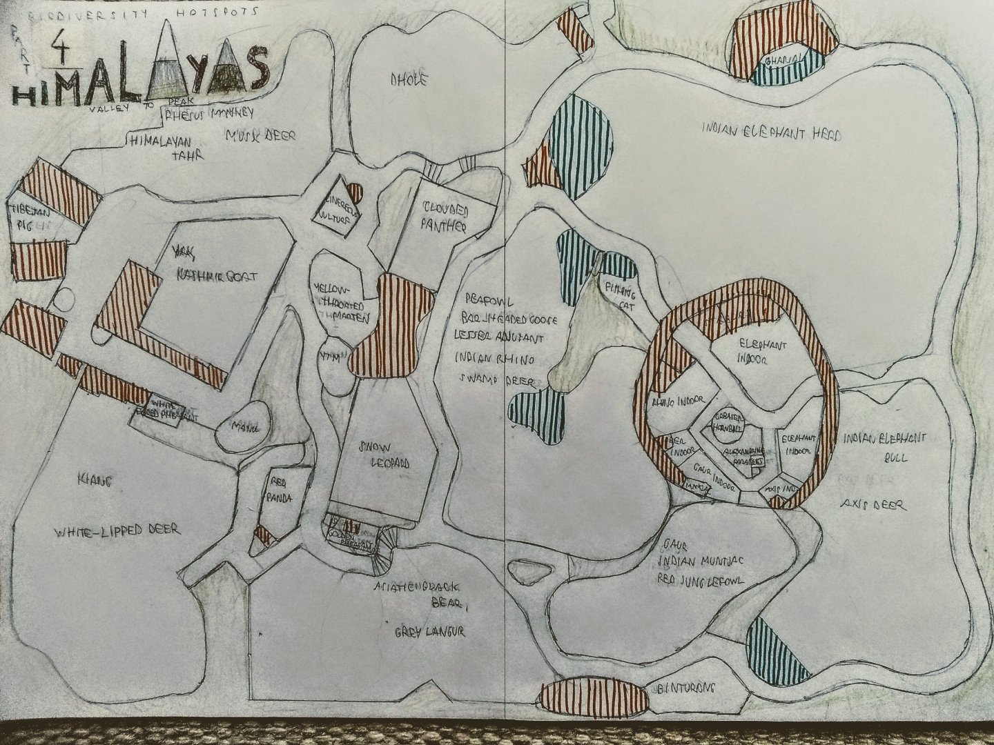 Biodiversity Hotspots Part 4.: Himalayas- Lowland to Peak