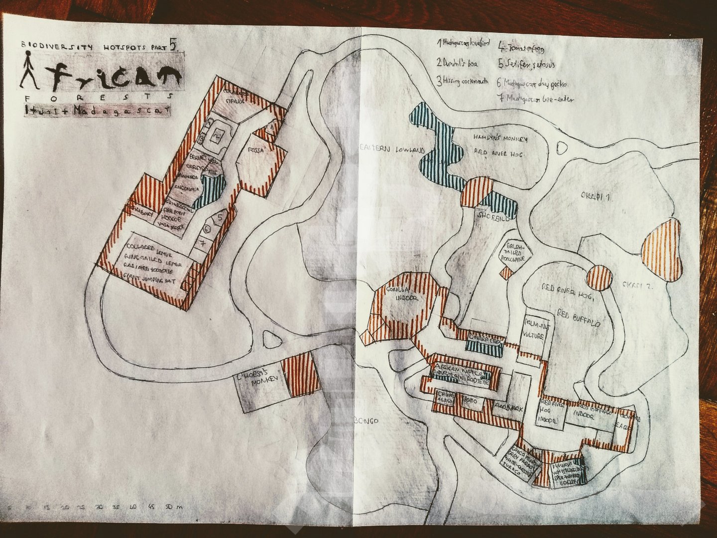 Biodiversity Hotspots Part 5.: Ituri Forest(an exception) and Madagascar
