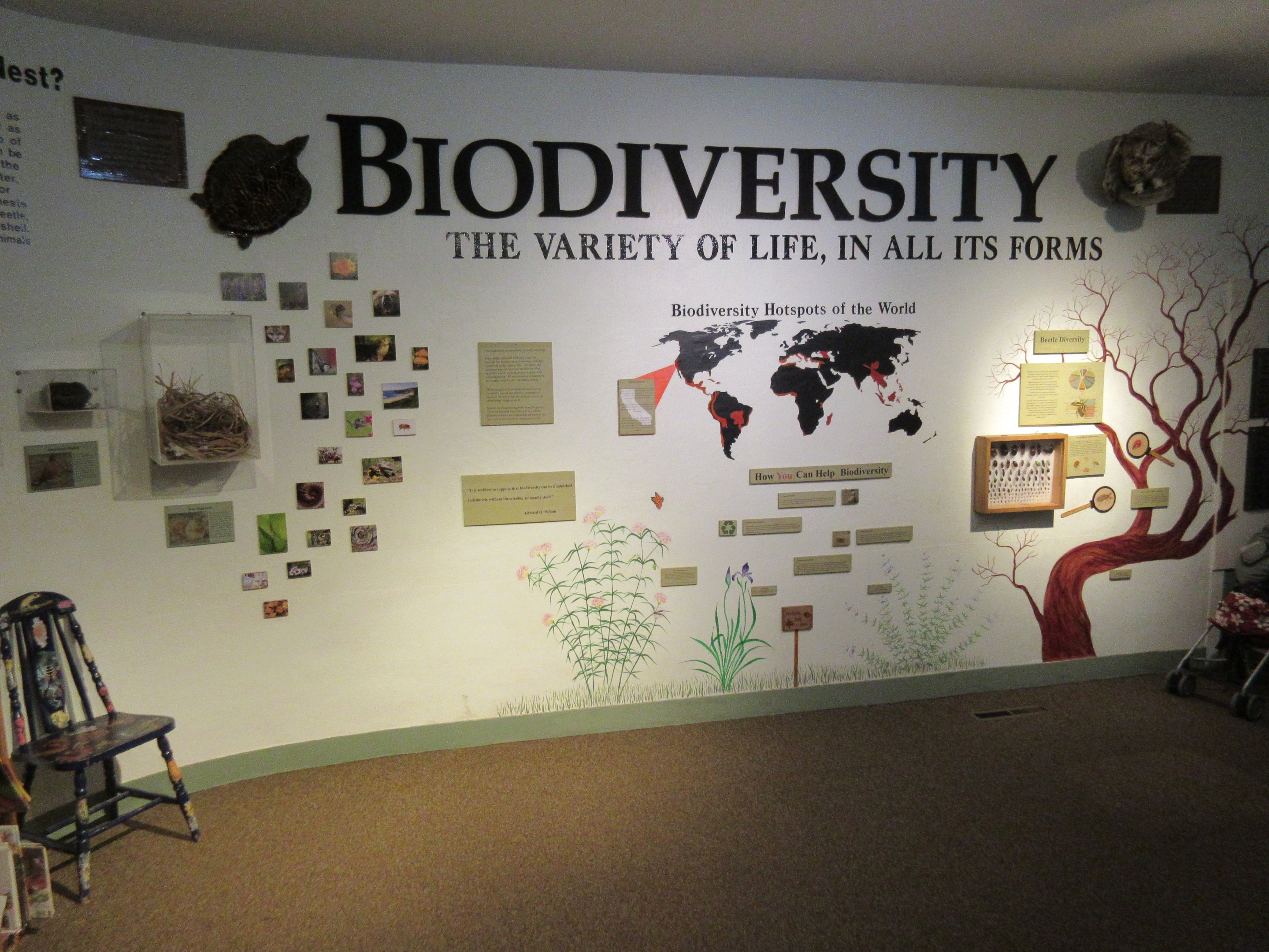 Biodiversity Wall Sign