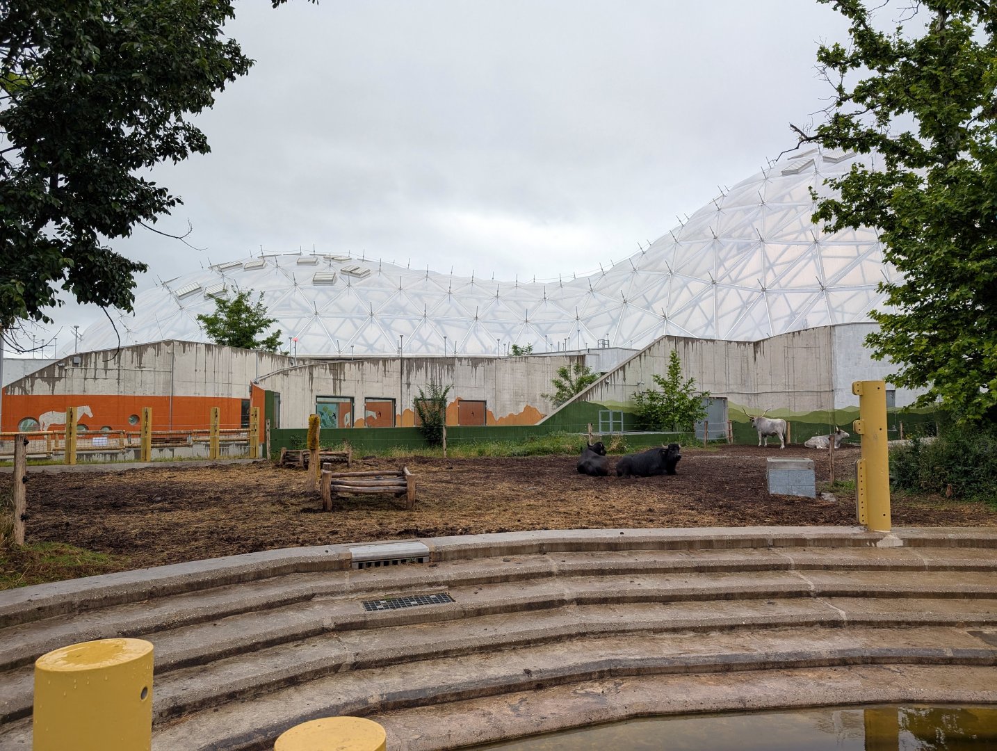 Biodome - Cattle & Buffalo enclosure
